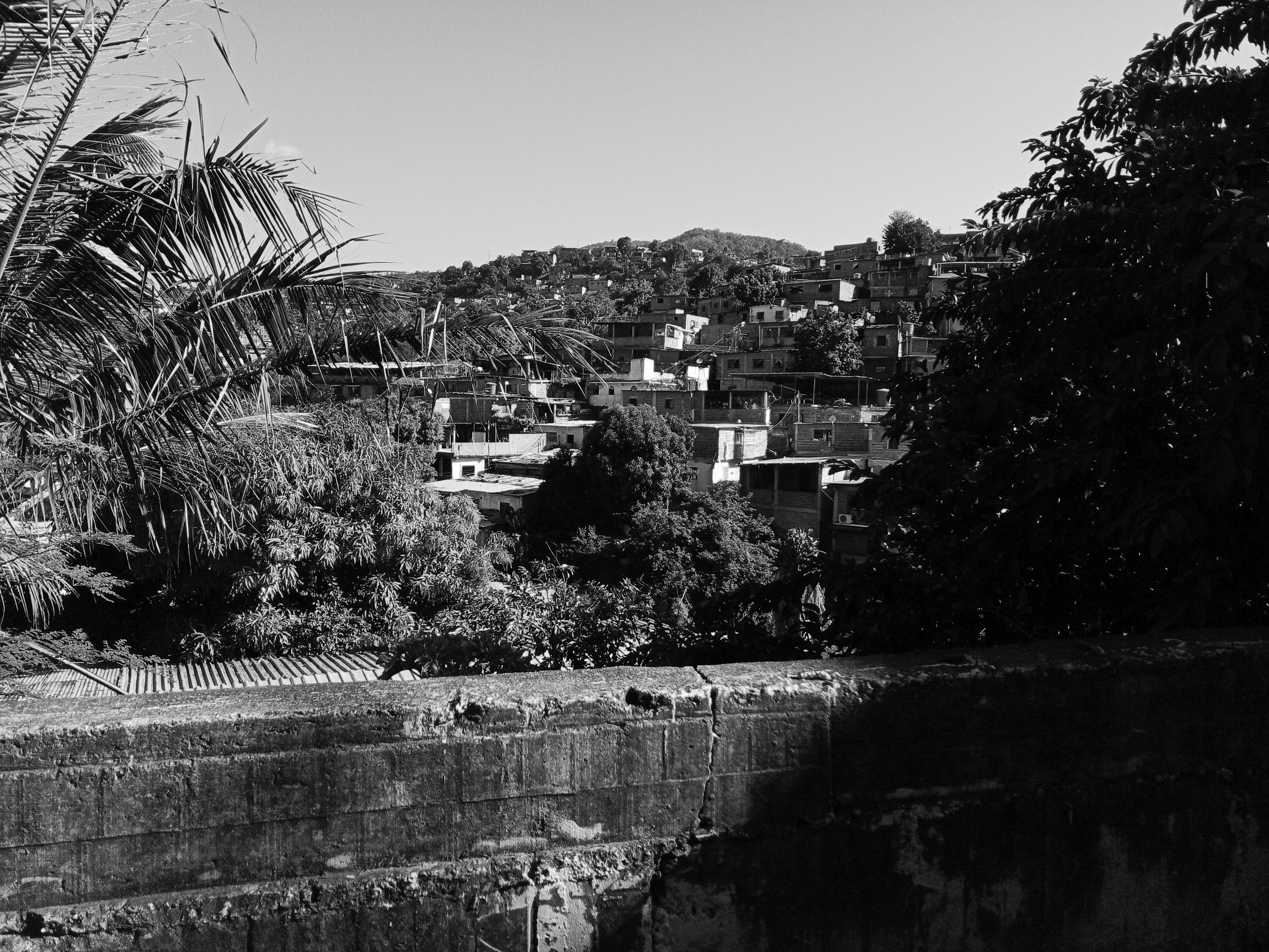 IMG_20240211_155511 (3).jpg