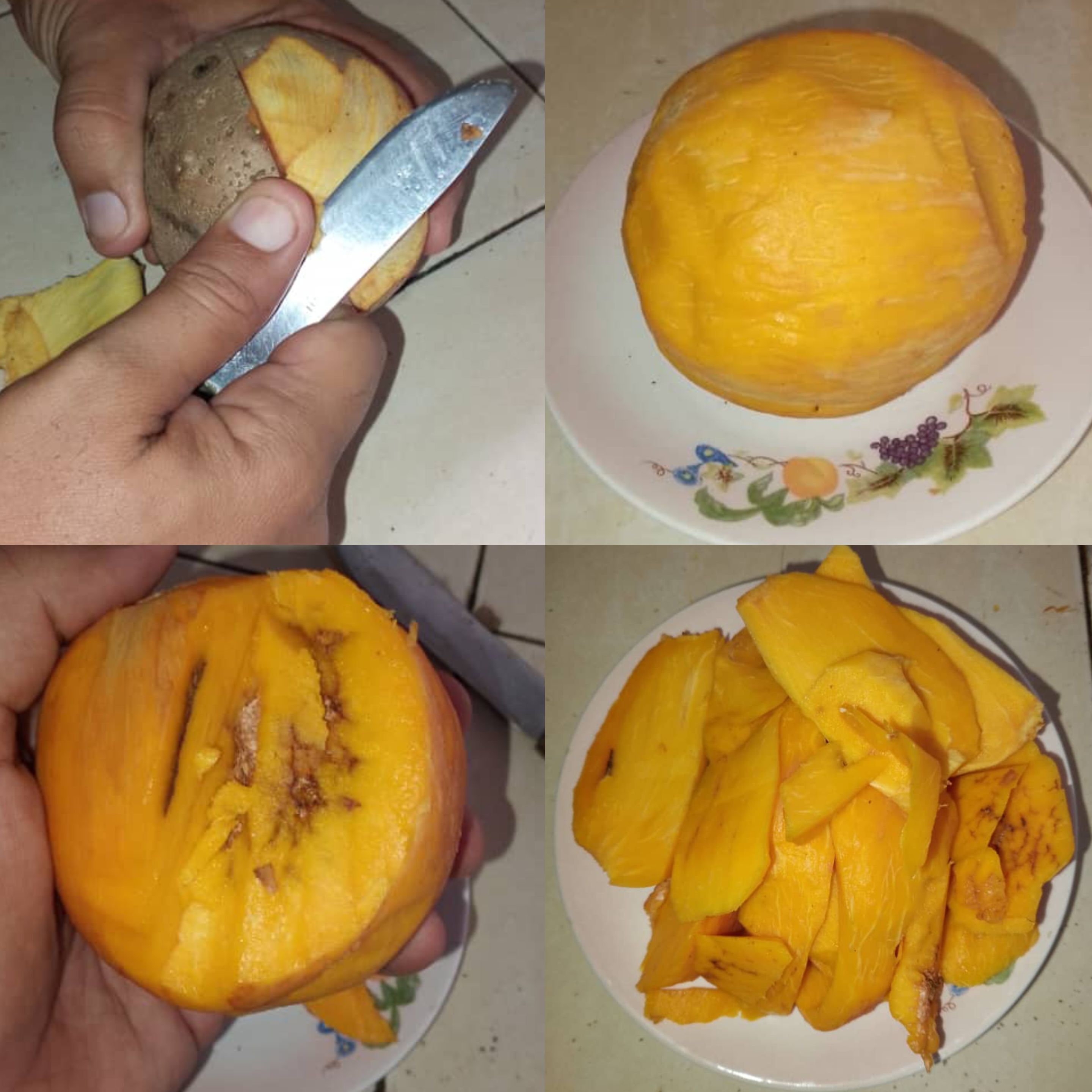1000612258.jpg