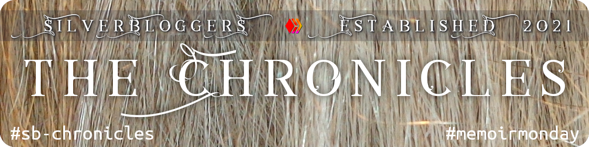 SB_Chronicles_Banner.png