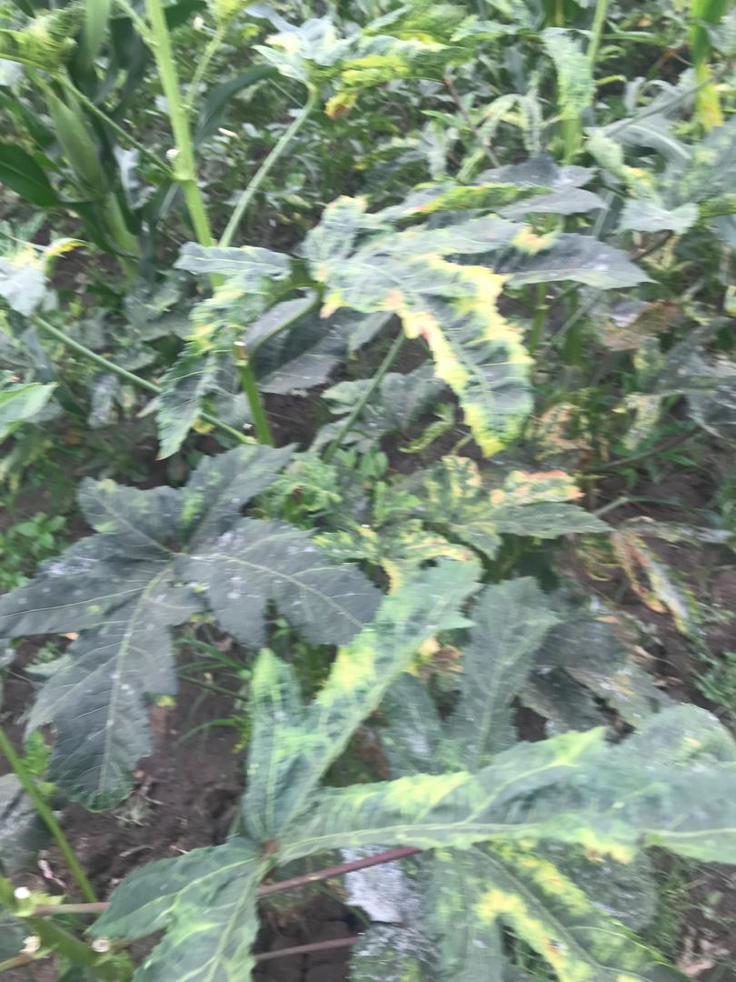 1000051119.jpg