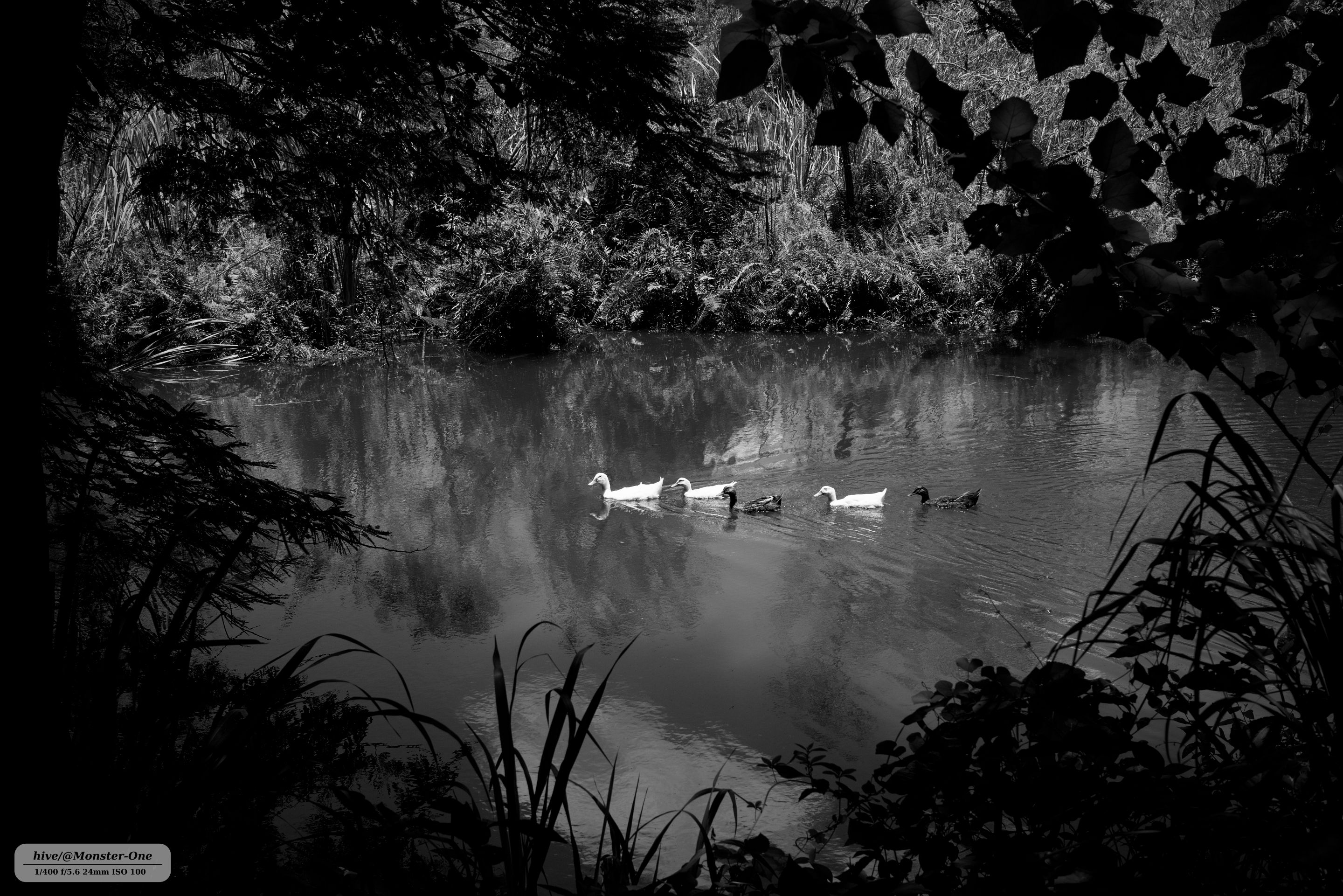 parque_222_0010.jpg