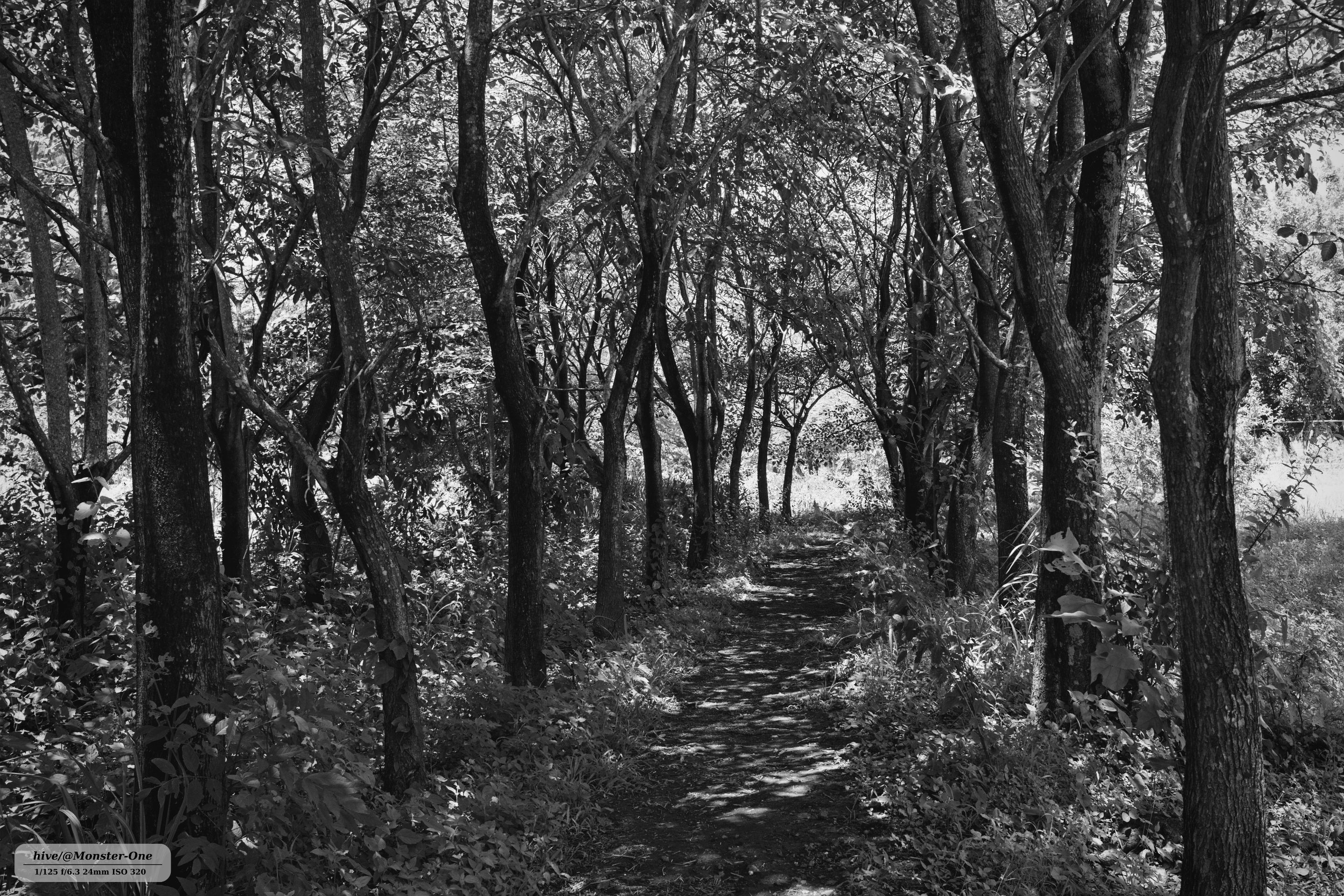 parque_22-07-25_0009.jpg
