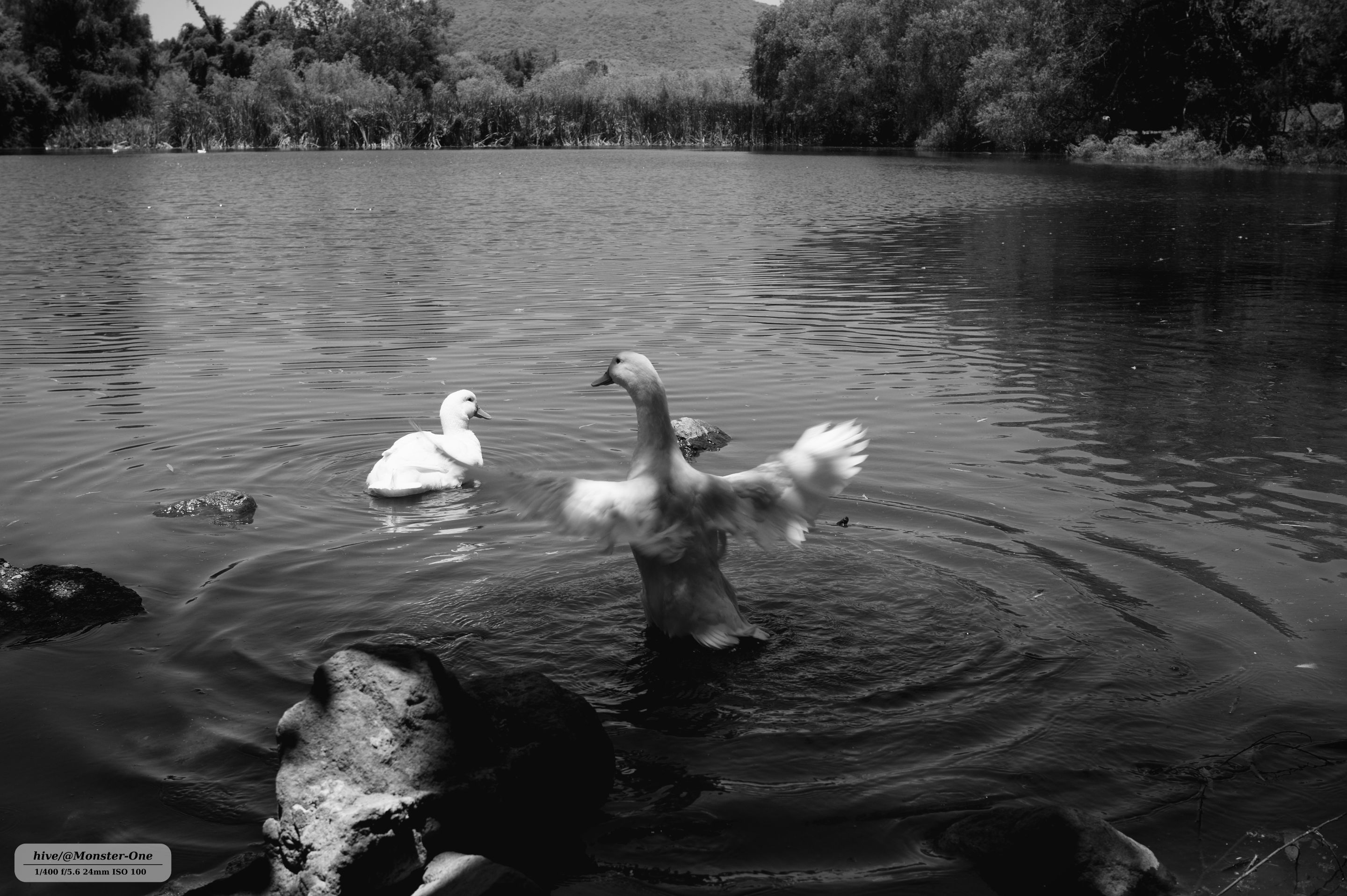 parque_222_0006.jpg
