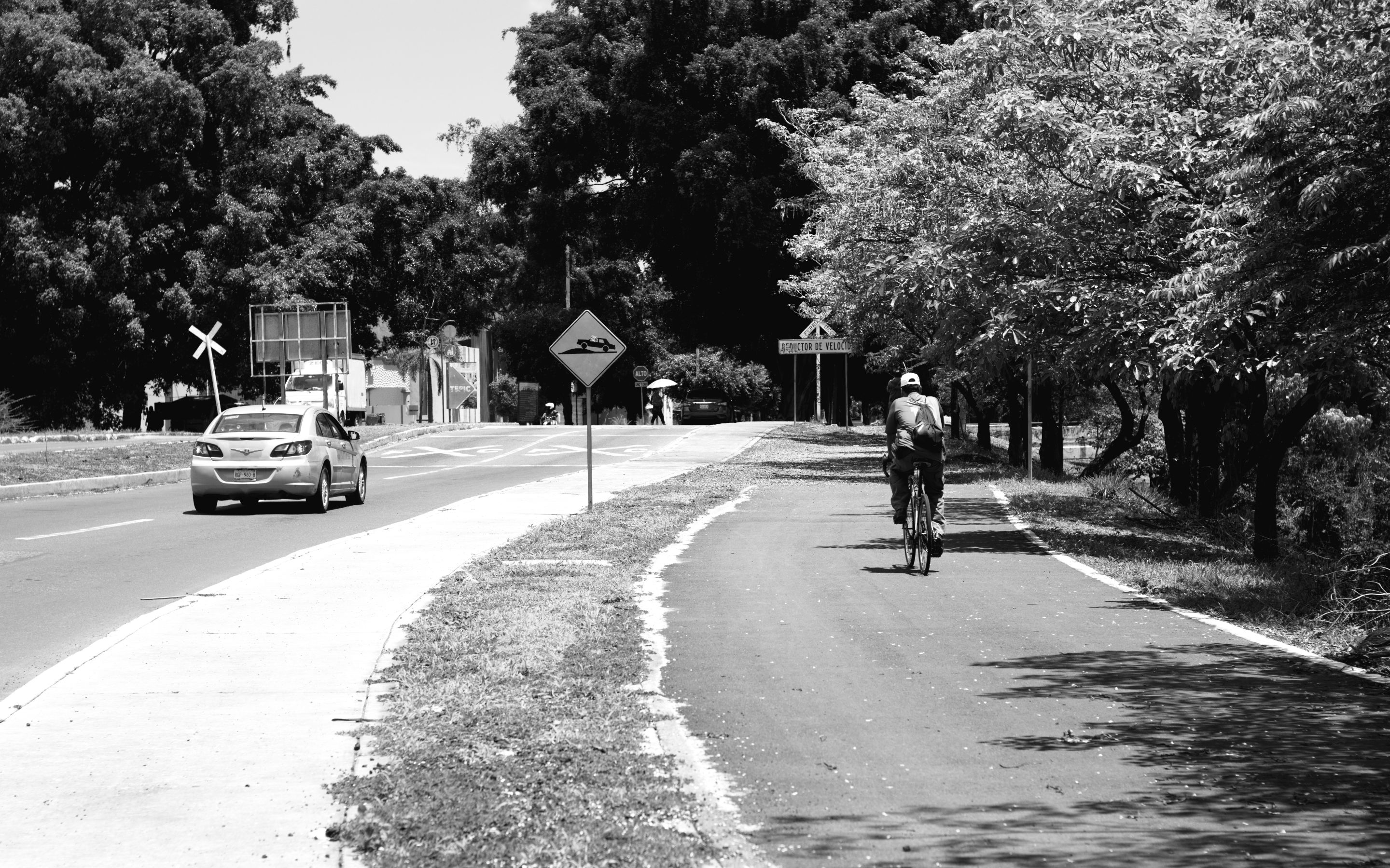 paseo_metropolitano_0003.jpg