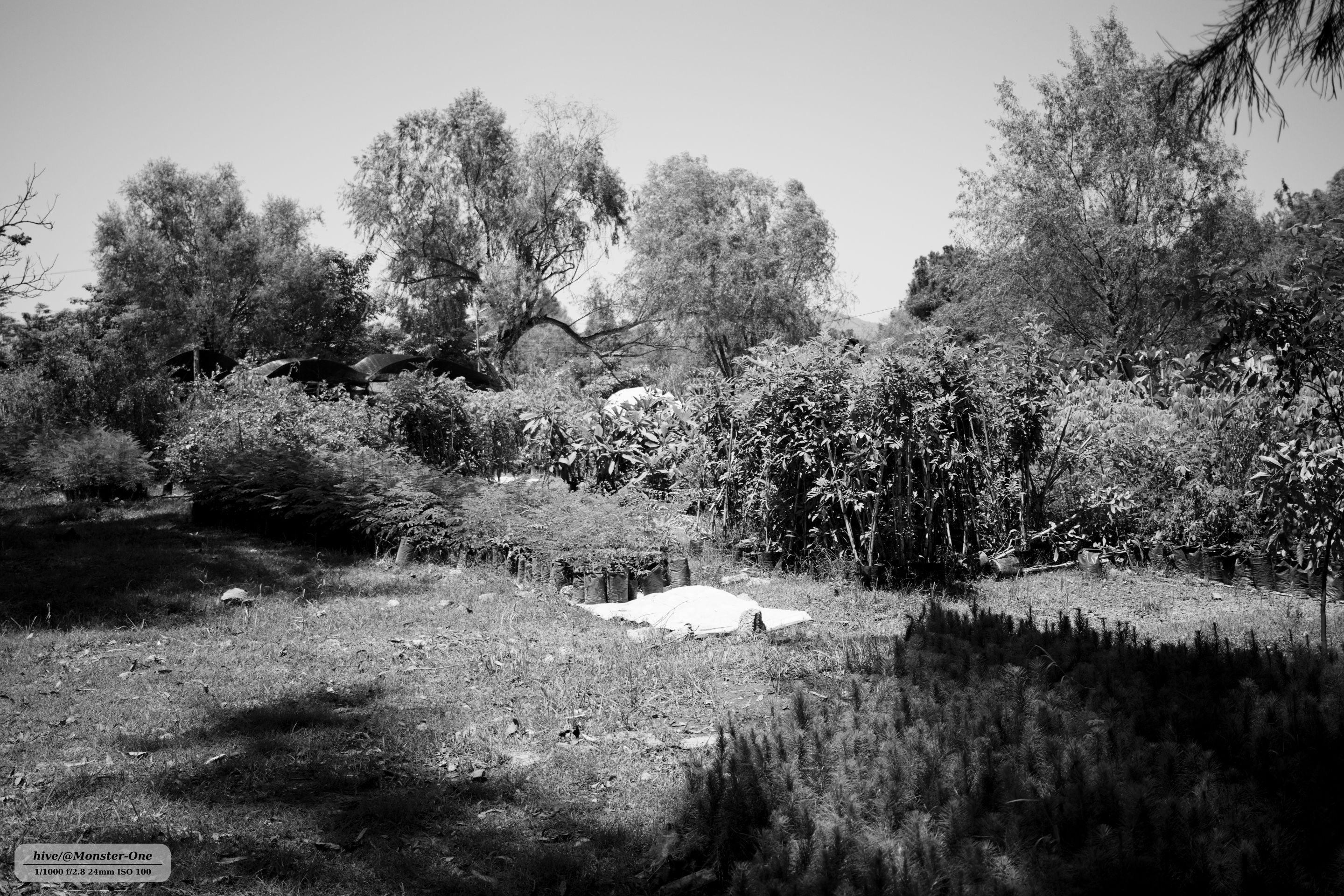 parque_22-07-25_0001.jpg