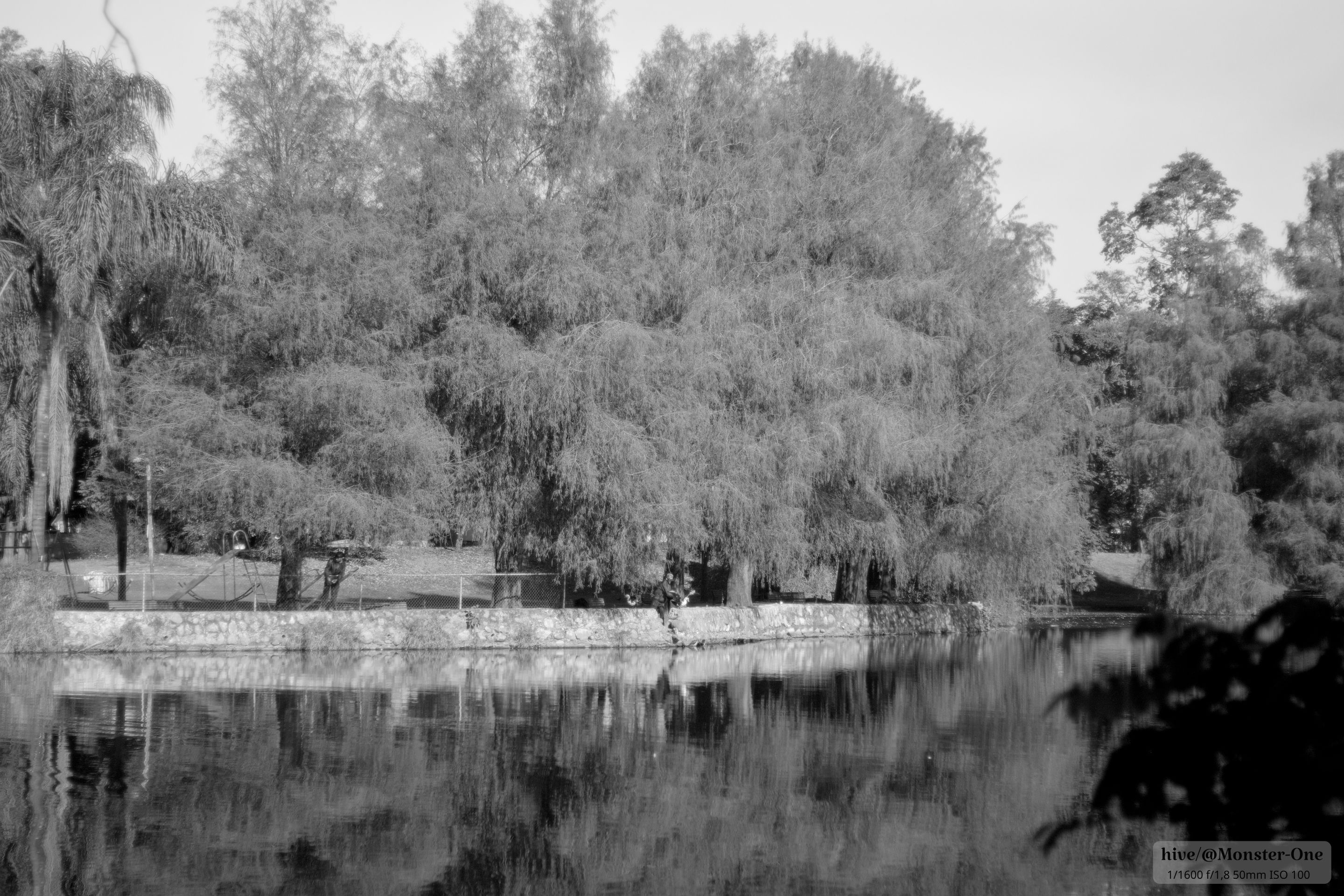 Monomad_gris_0002.jpg