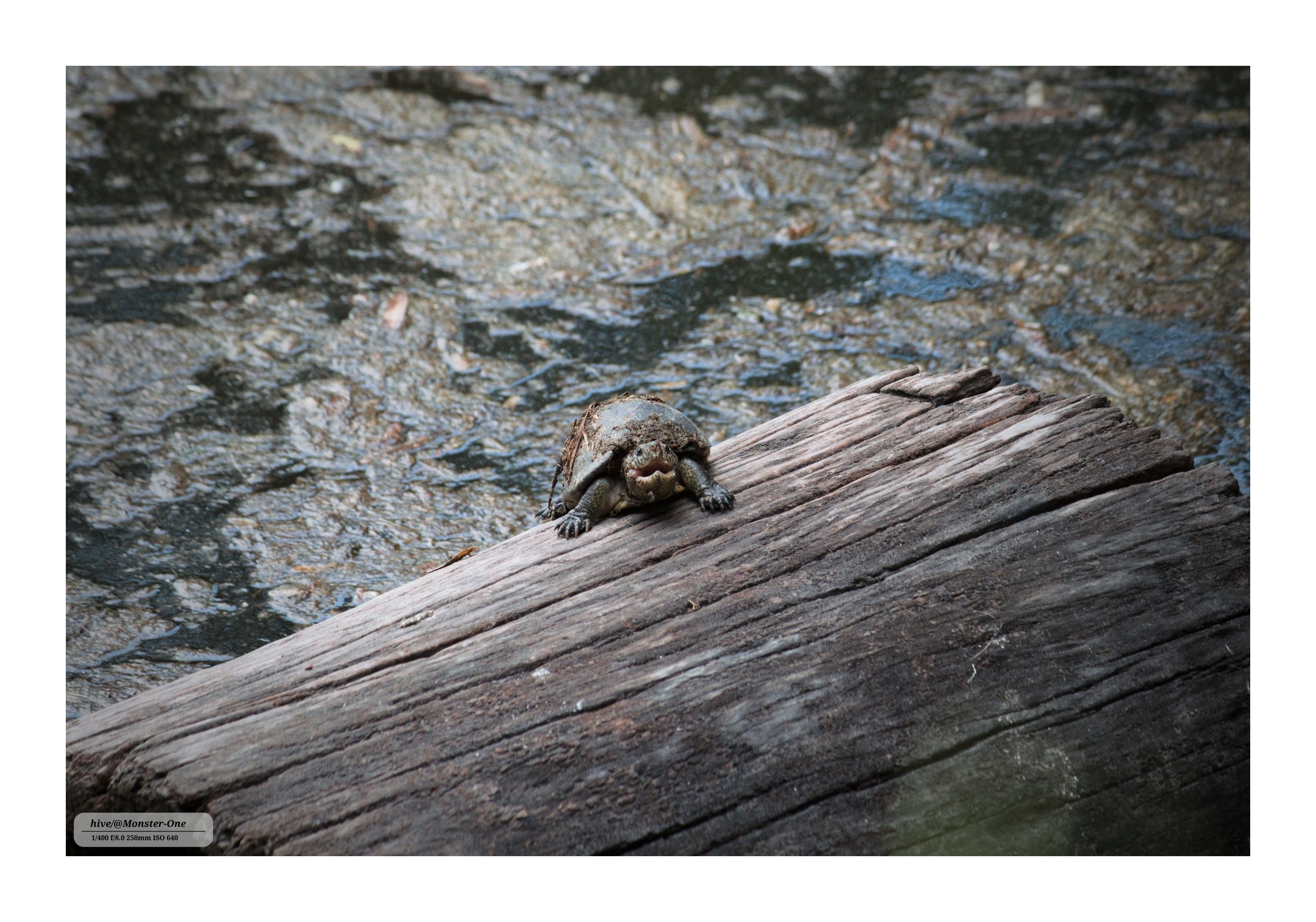 Photofeed_0001.jpg