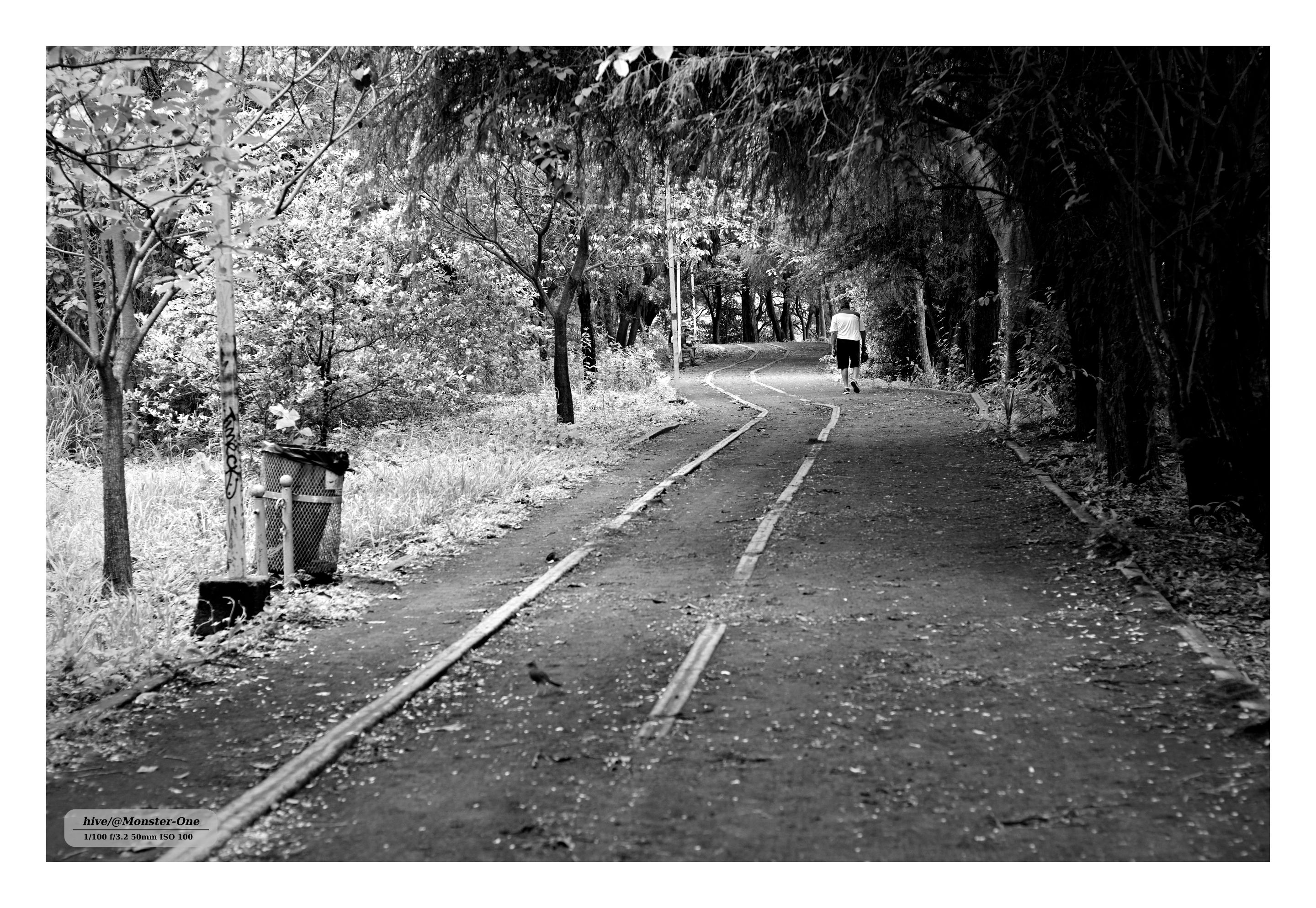 Monomad_park_0004.jpg