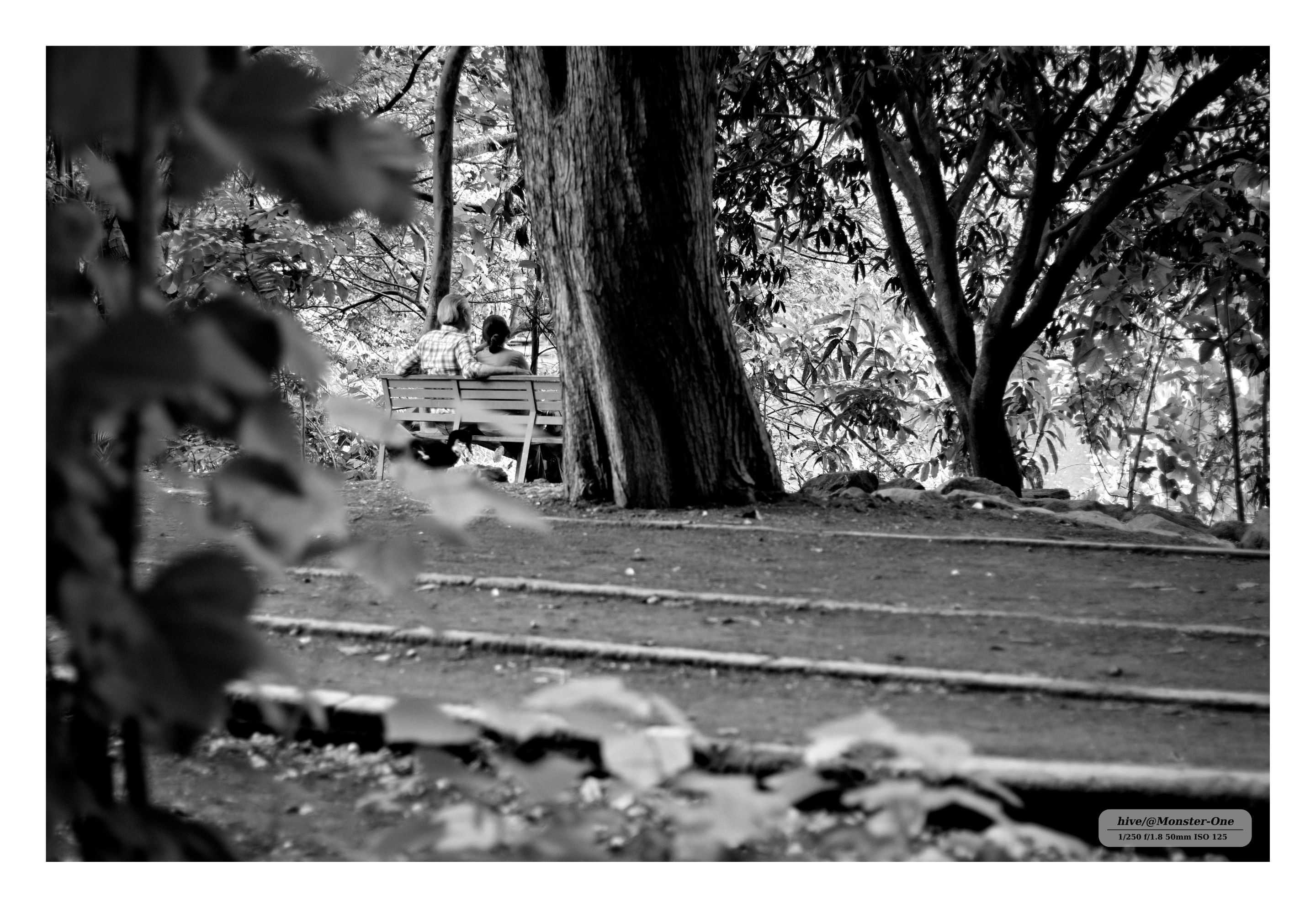 Monomad_park_nublado_0003.jpg