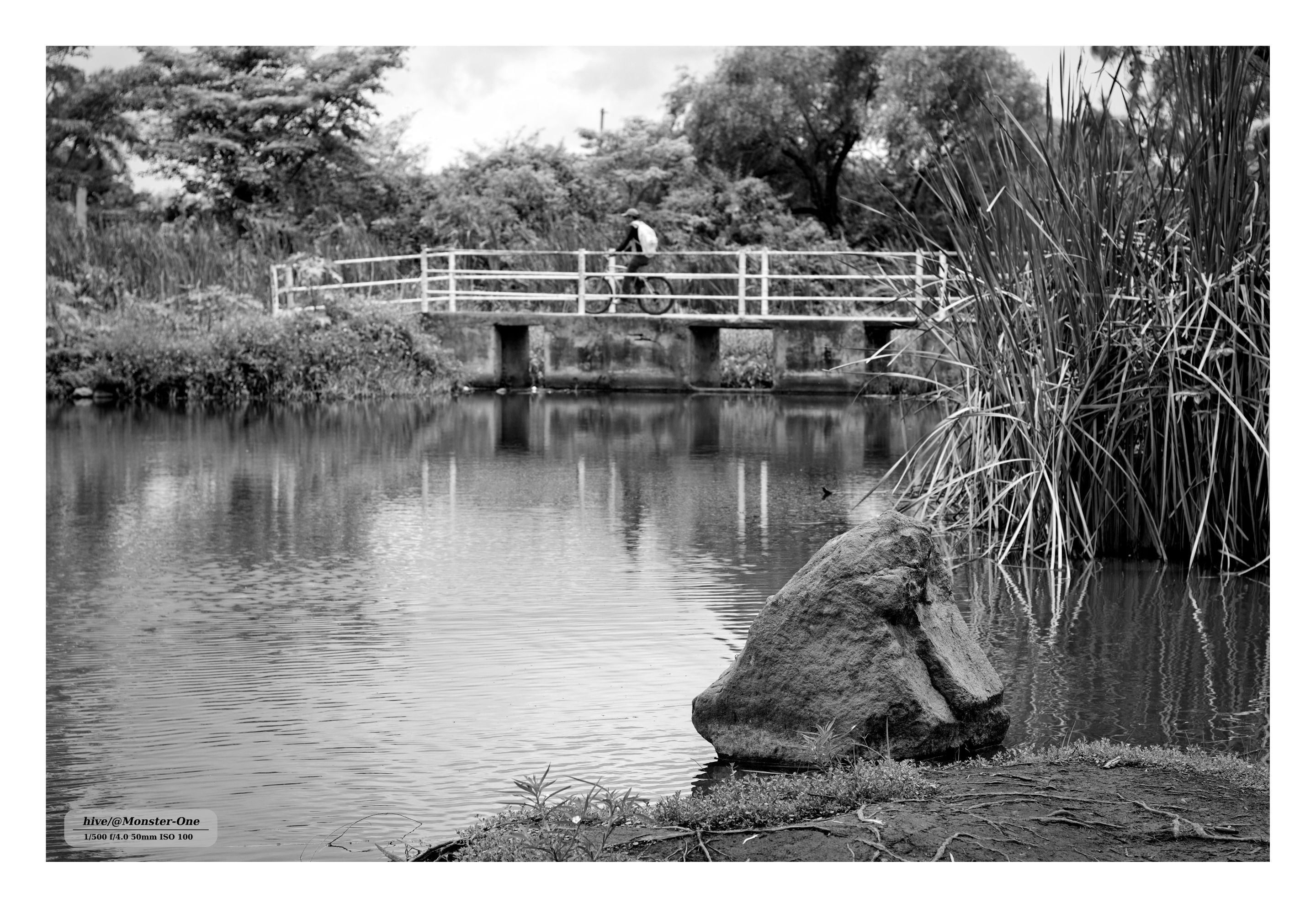Monomad_park_0001.jpg