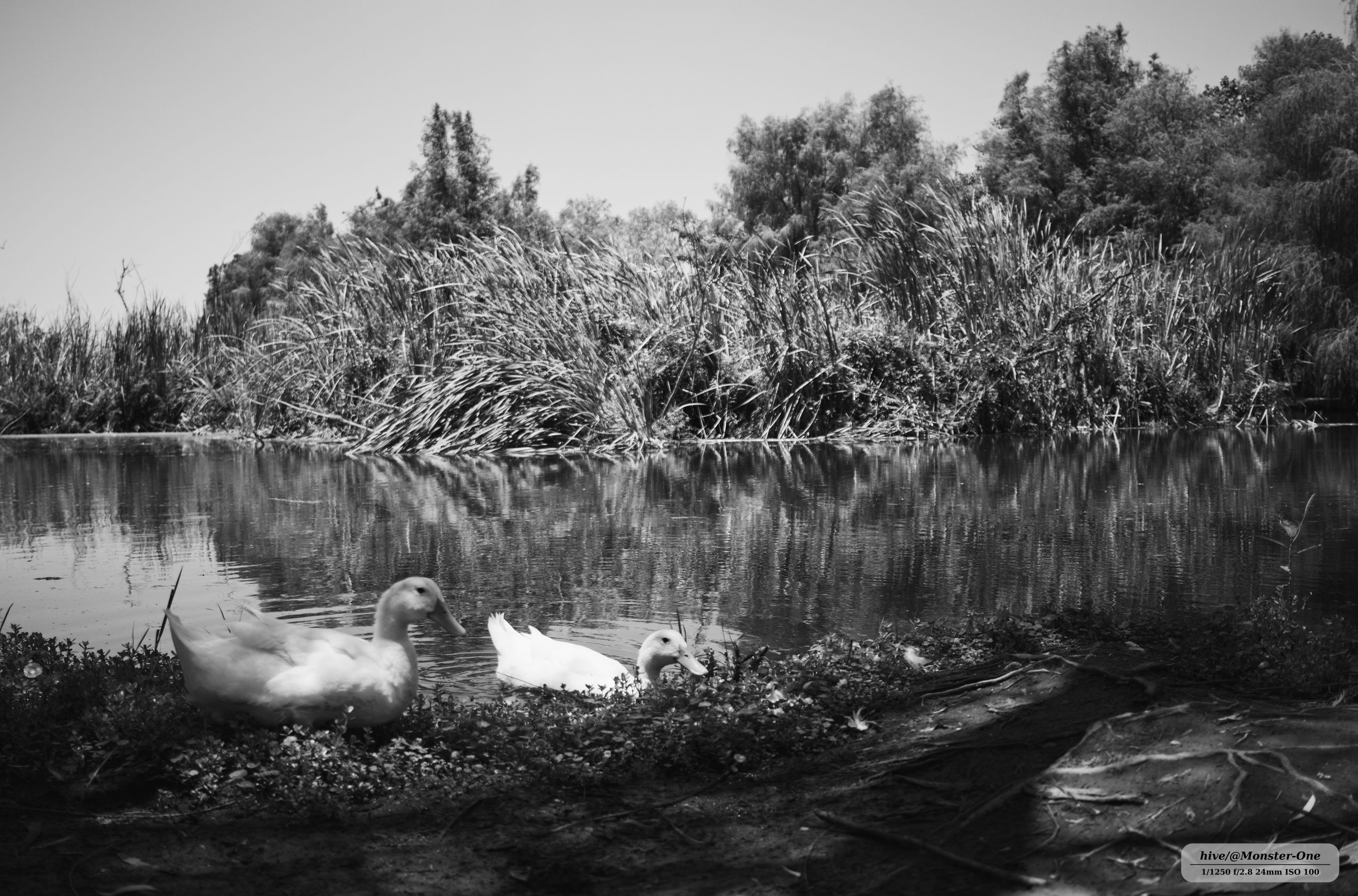 parque_22-07-25_0007.jpg