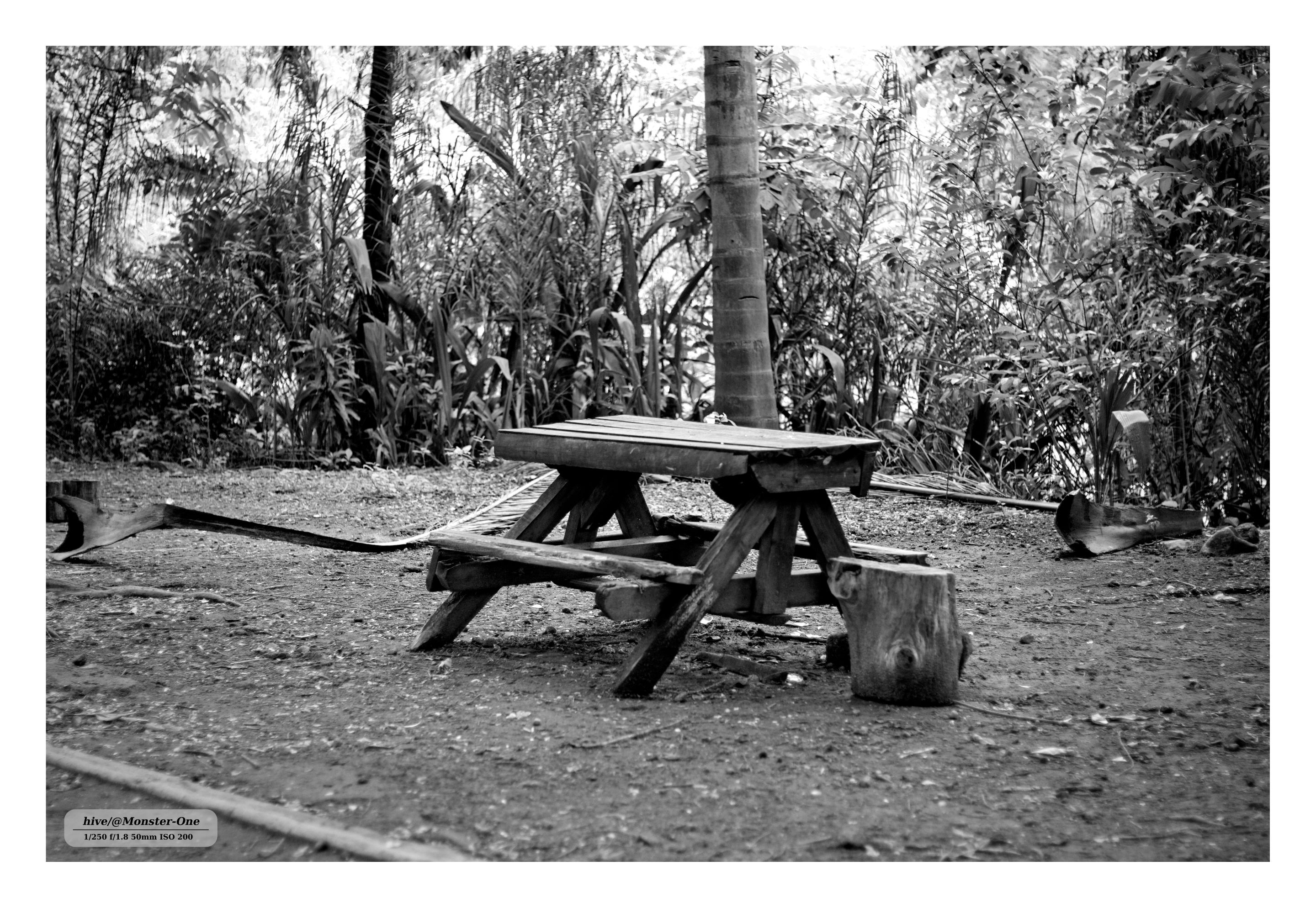 Monomad_park_nublado_0004.jpg