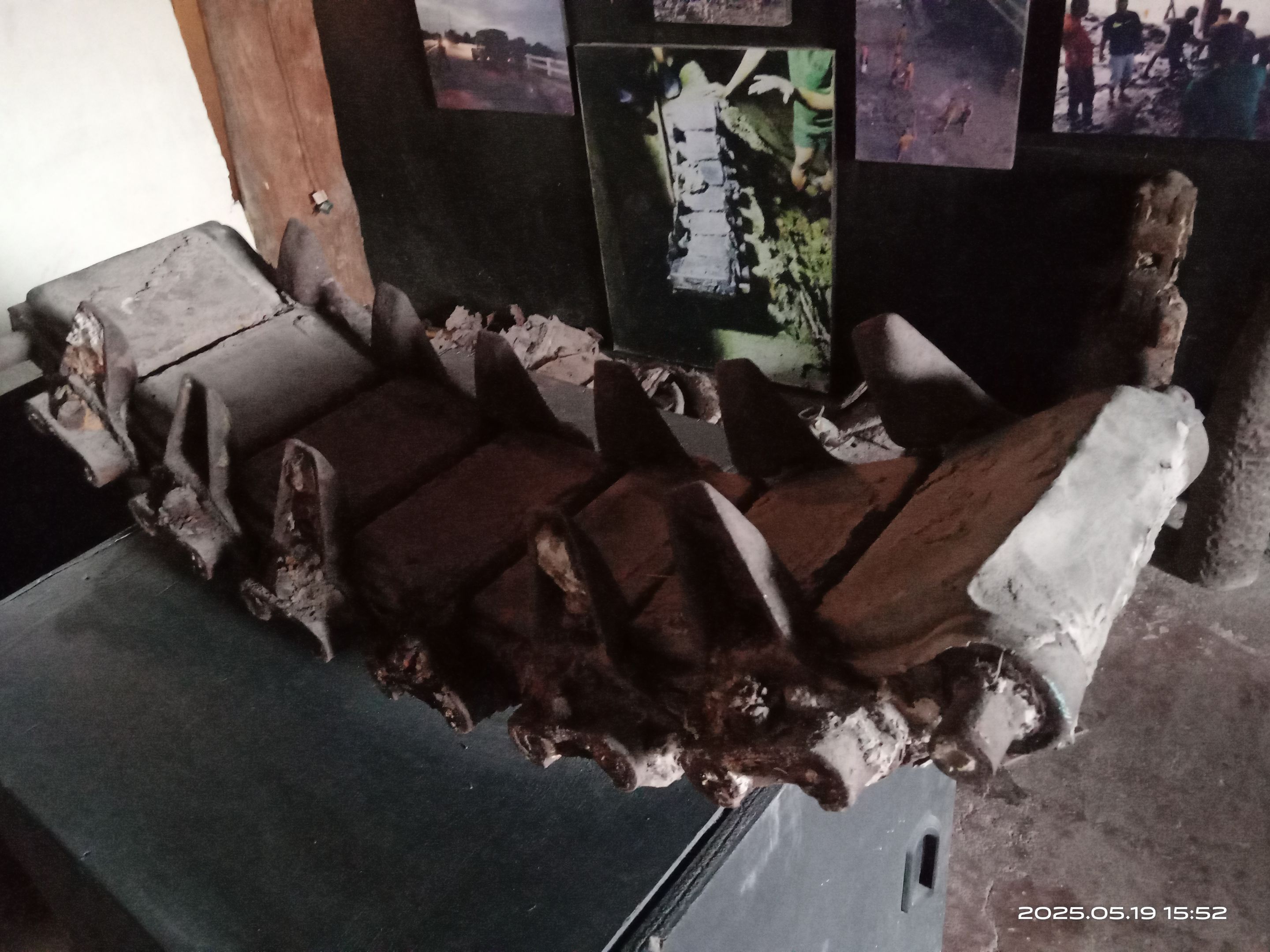 IMG_20250519_155303(1).jpg