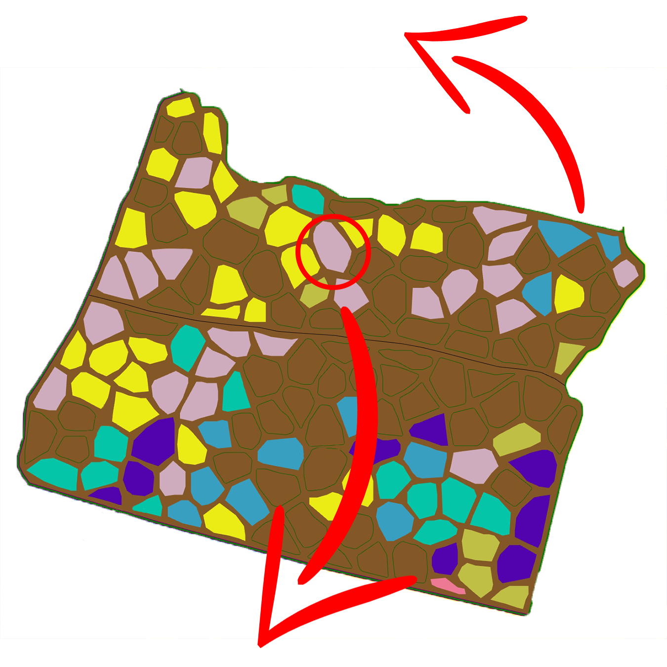 Region_3.png