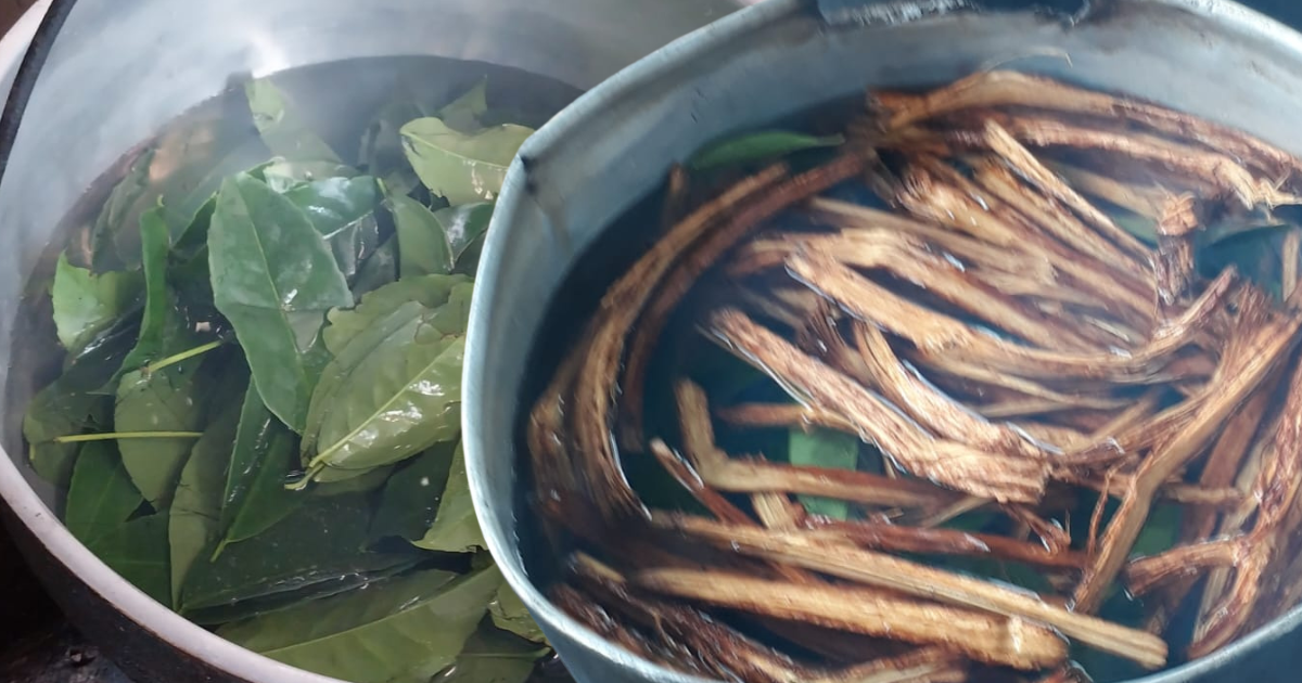 Wayusa nd Ayahuasca.png