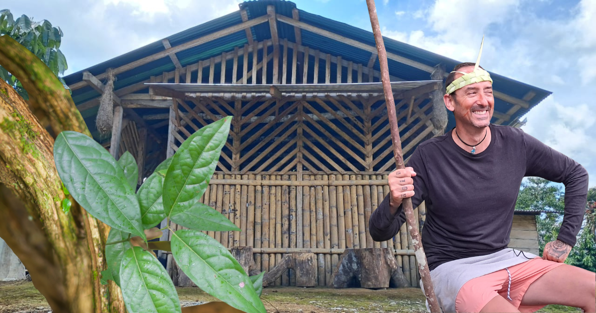 My Ayahuasca journey.png