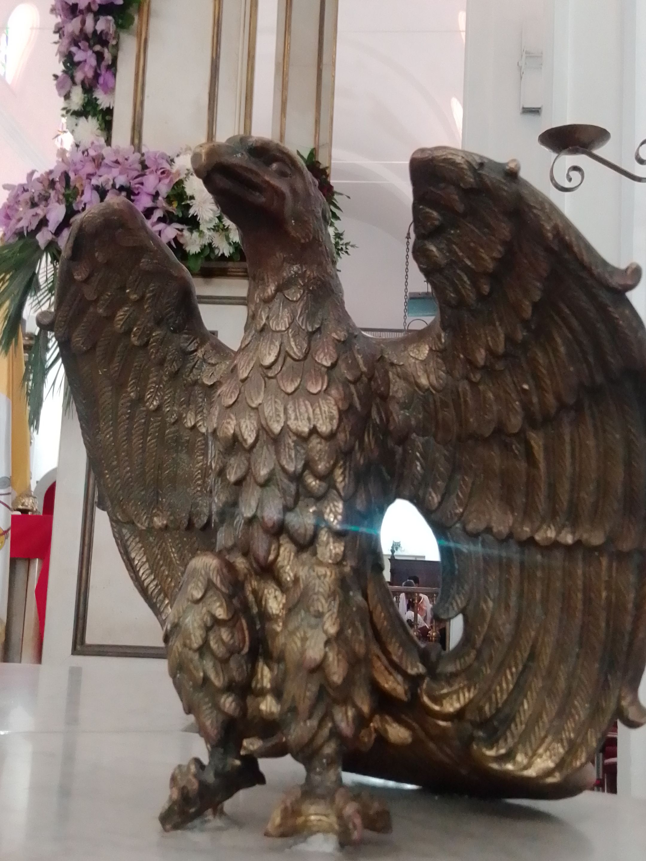 IMG_20230407_110526.jpg