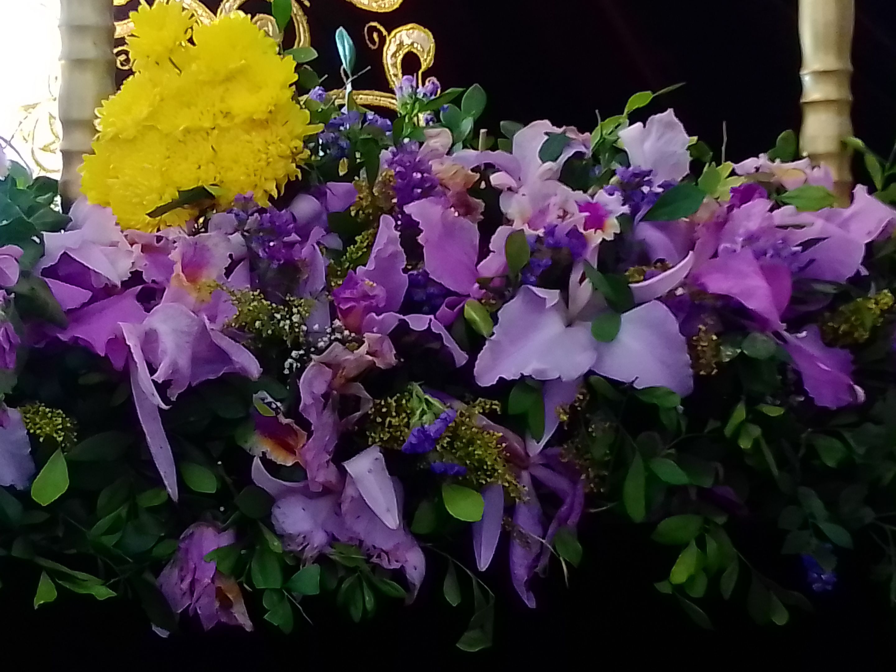 IMG_20230407_110842.jpg