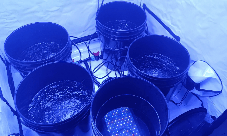 Media_221219_204914.gif