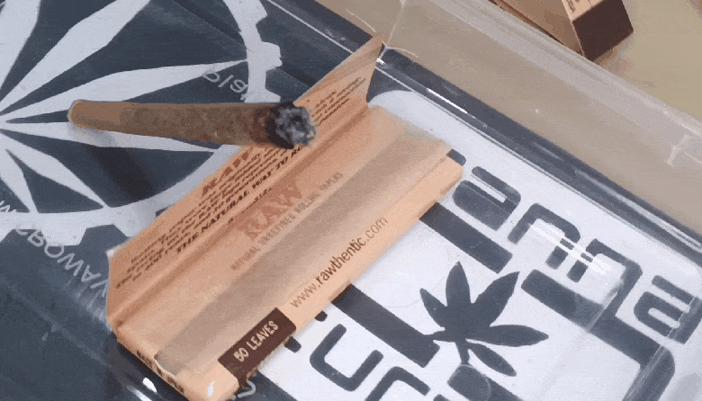 Media_231019_090600.gif