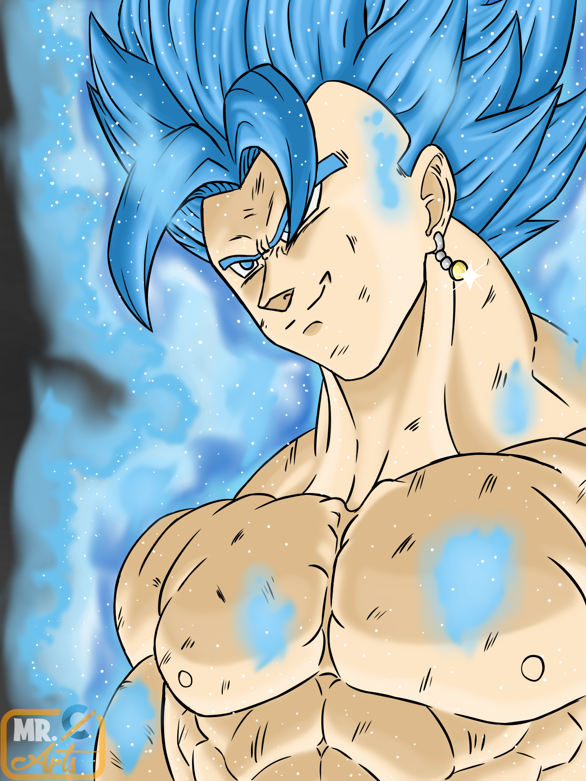 vegetto.png