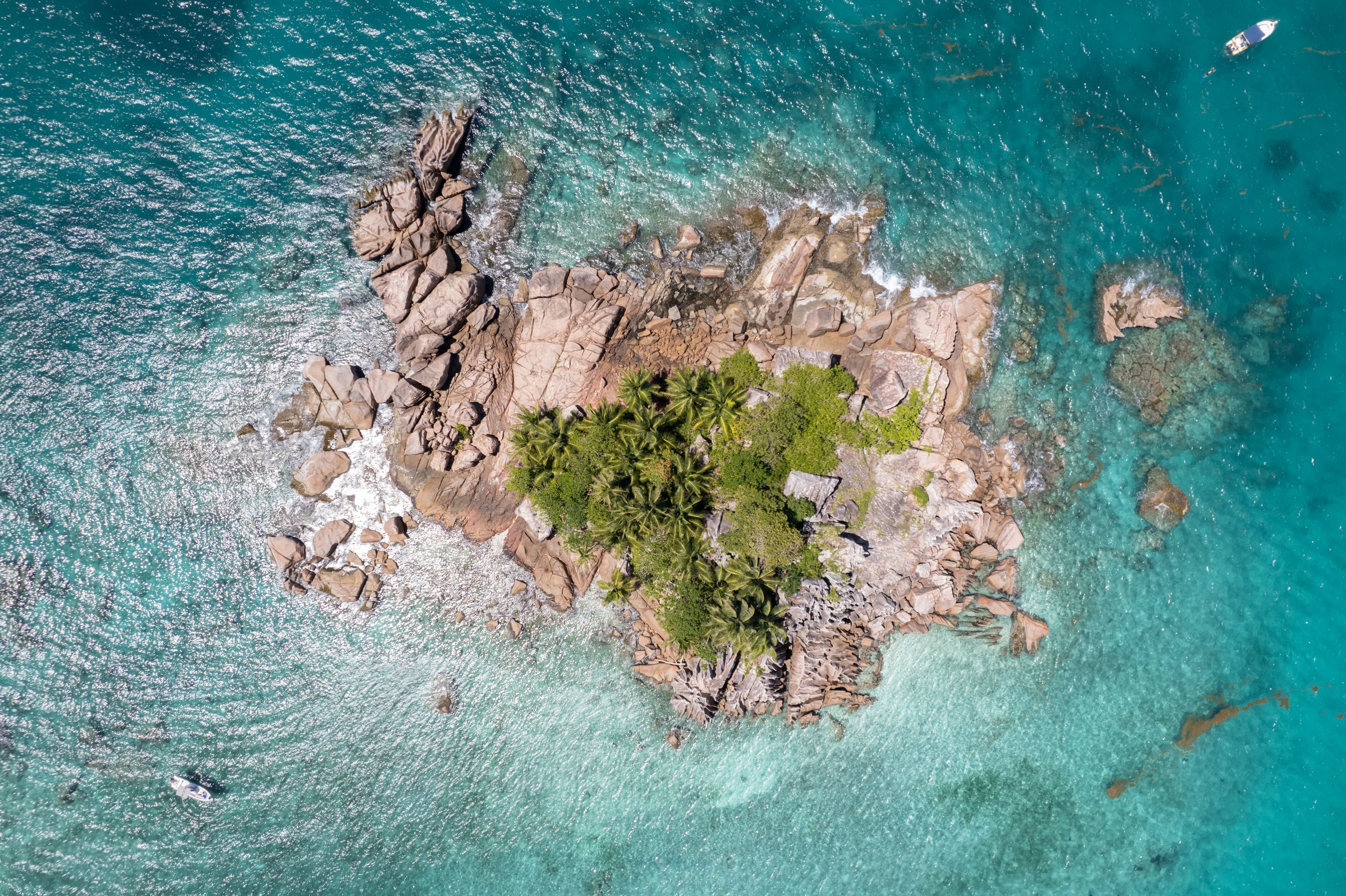 DJI_0864.jpg