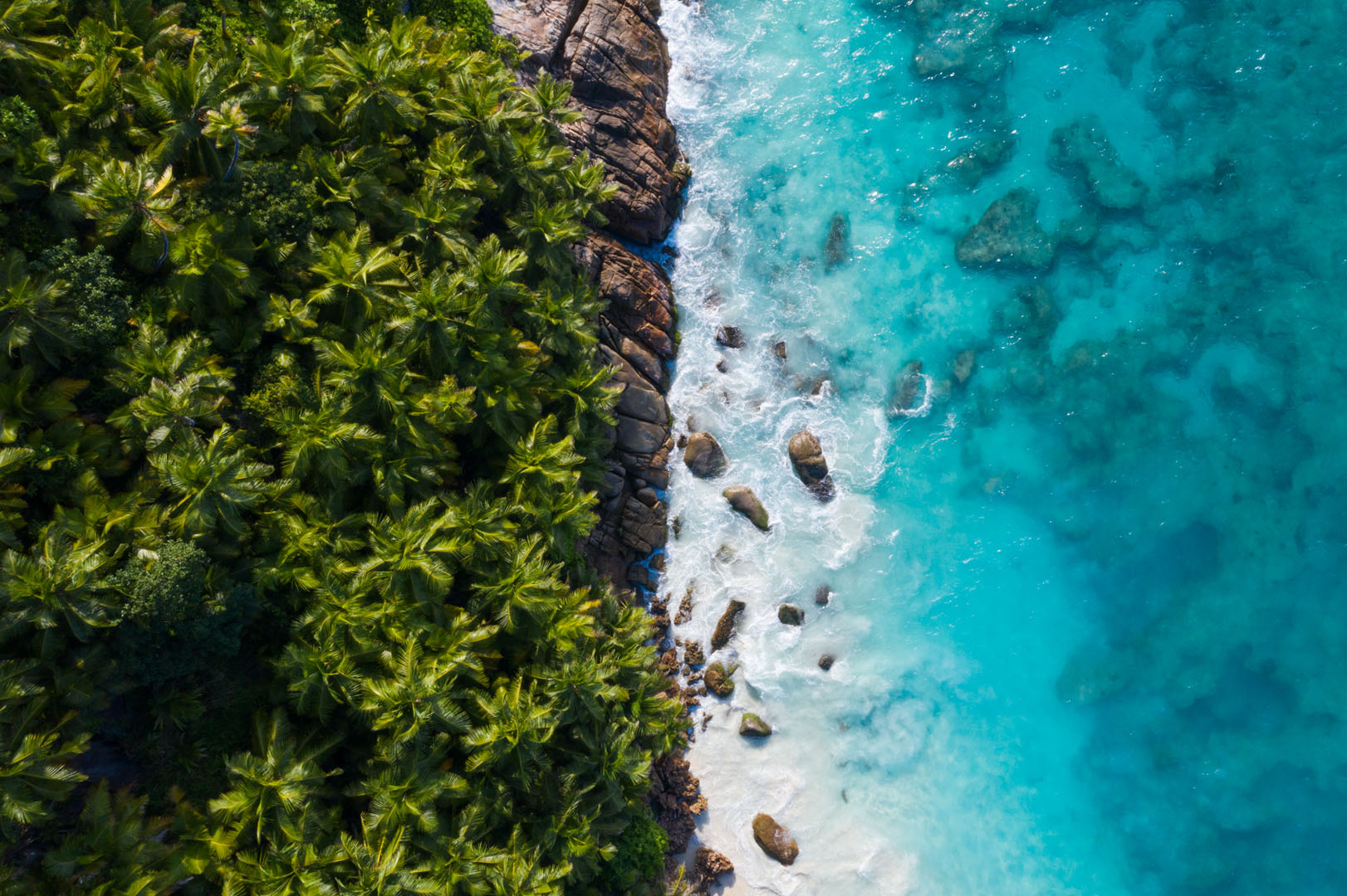 DJI_0360.jpg