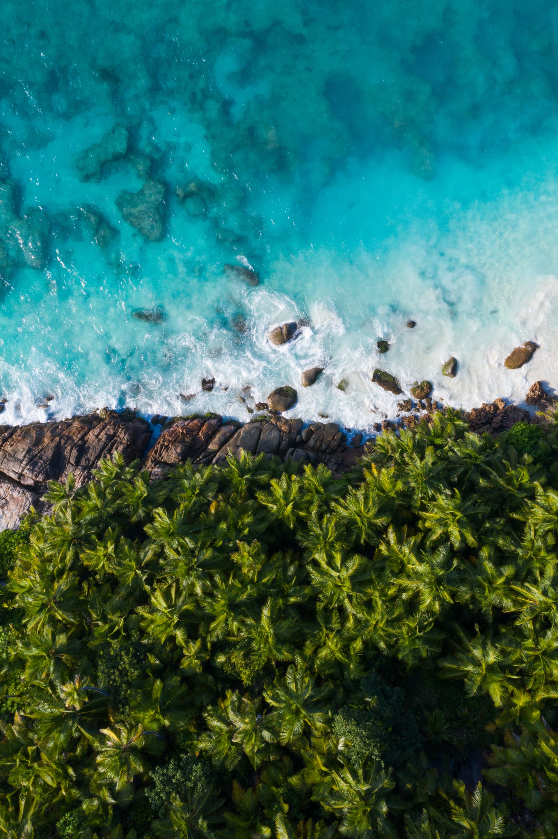 DJI_0359-2.jpg