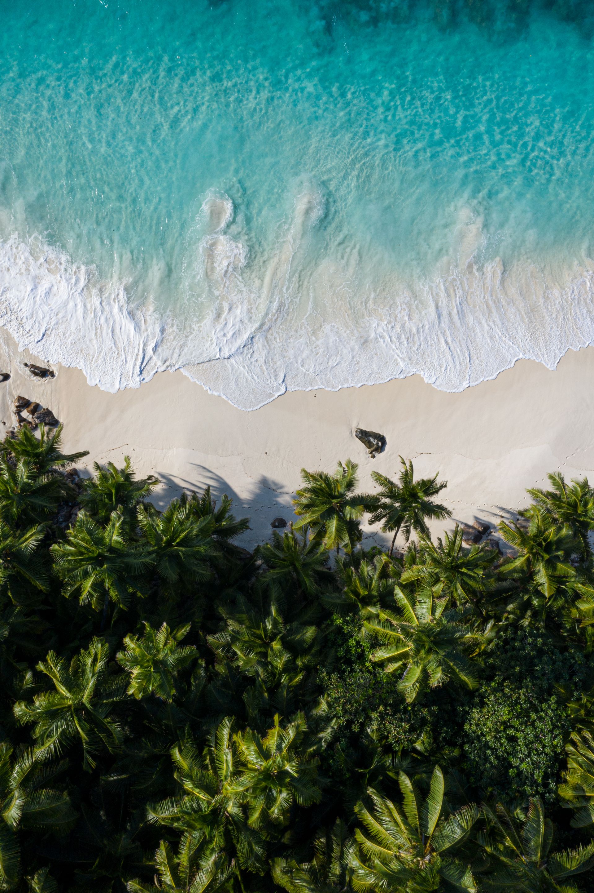 DJI_0366.jpg