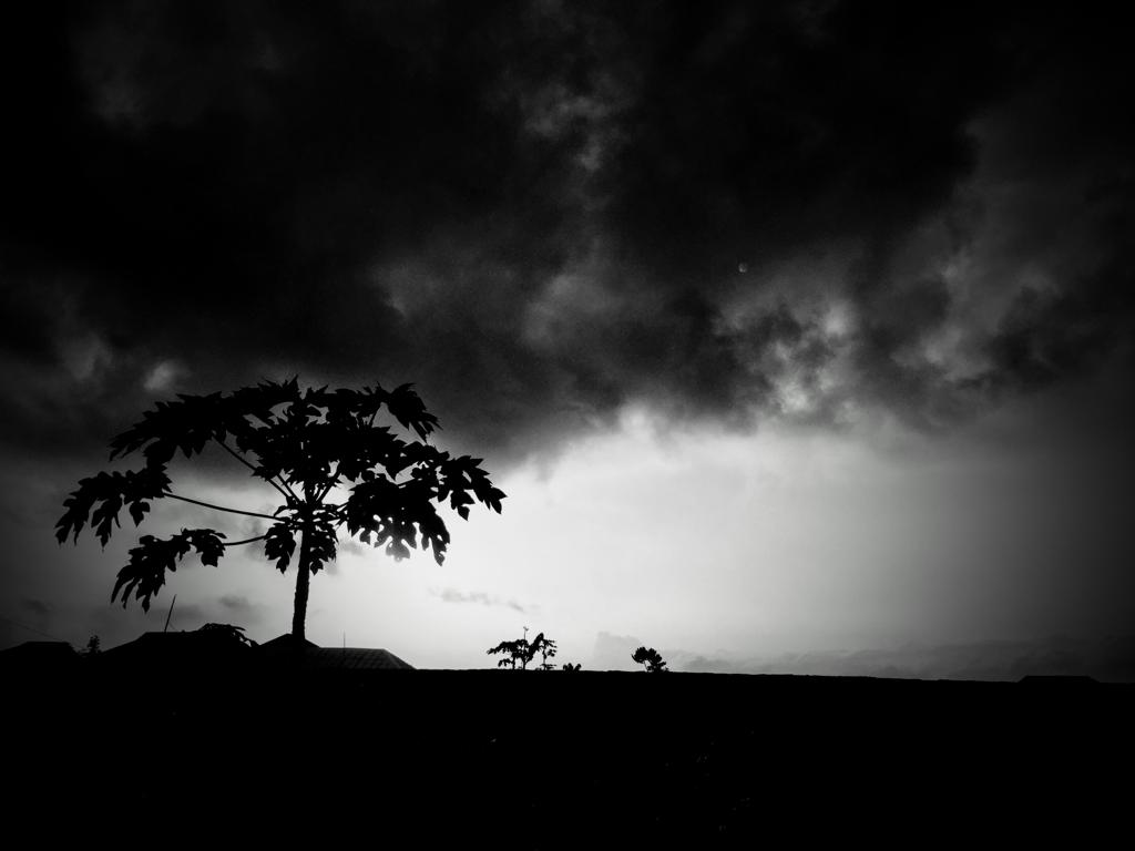 @mrenglish/148-black-and-white-photography-challenge-my-entry