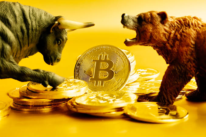 @vickvan/the-hope-of-crypto-rising-from-bear-to-bull
