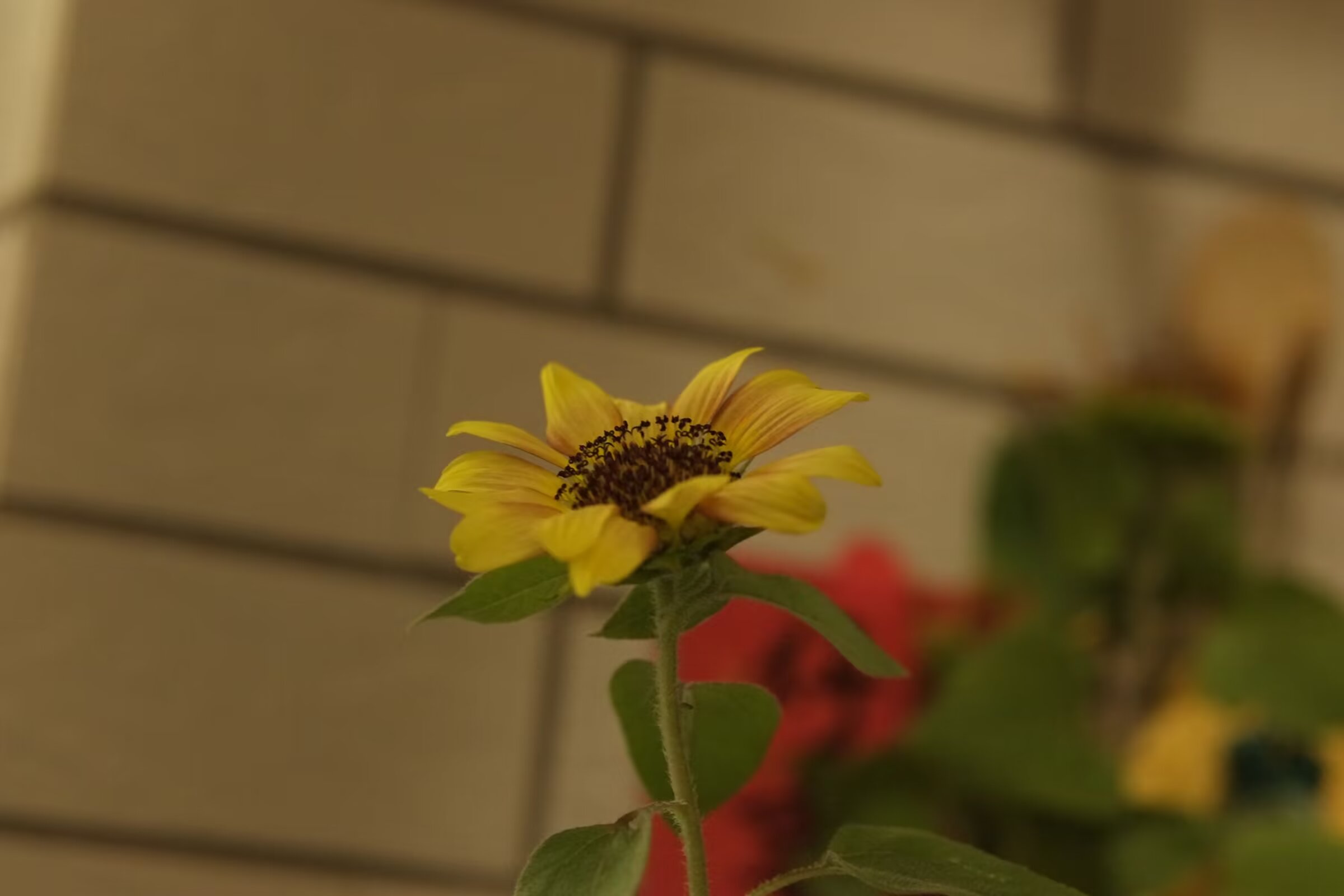 a55c1e9d7c28b433408a4d23b85819a.jpg