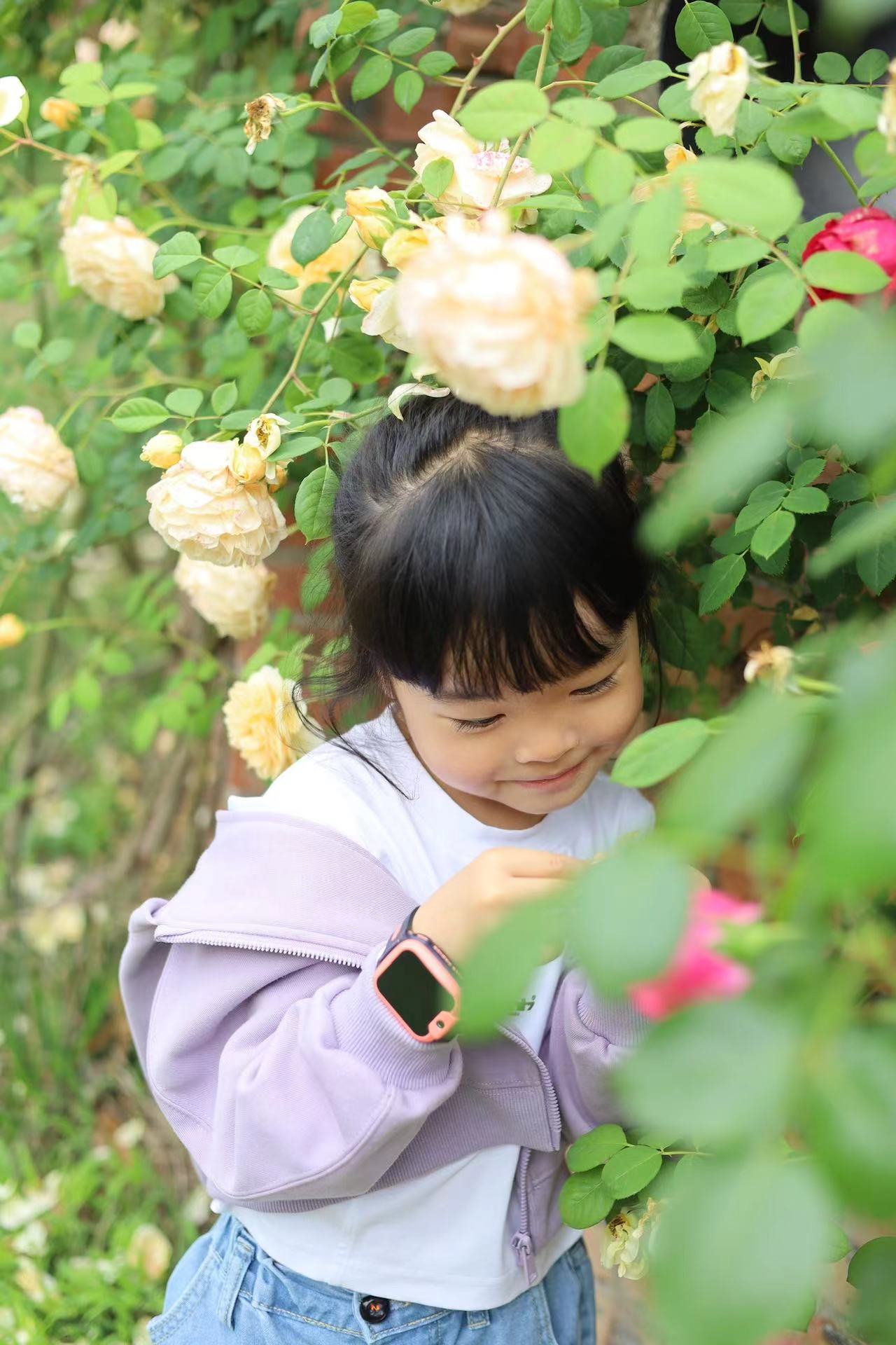 e57ef8b1d887802d9bb7aff403245ea.jpg