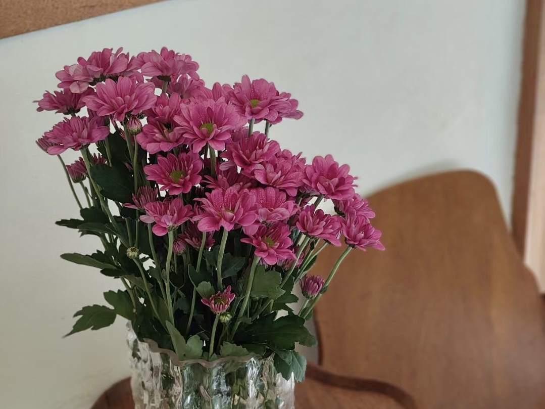 3d87f6981ac3d4403977818773f044f.jpg