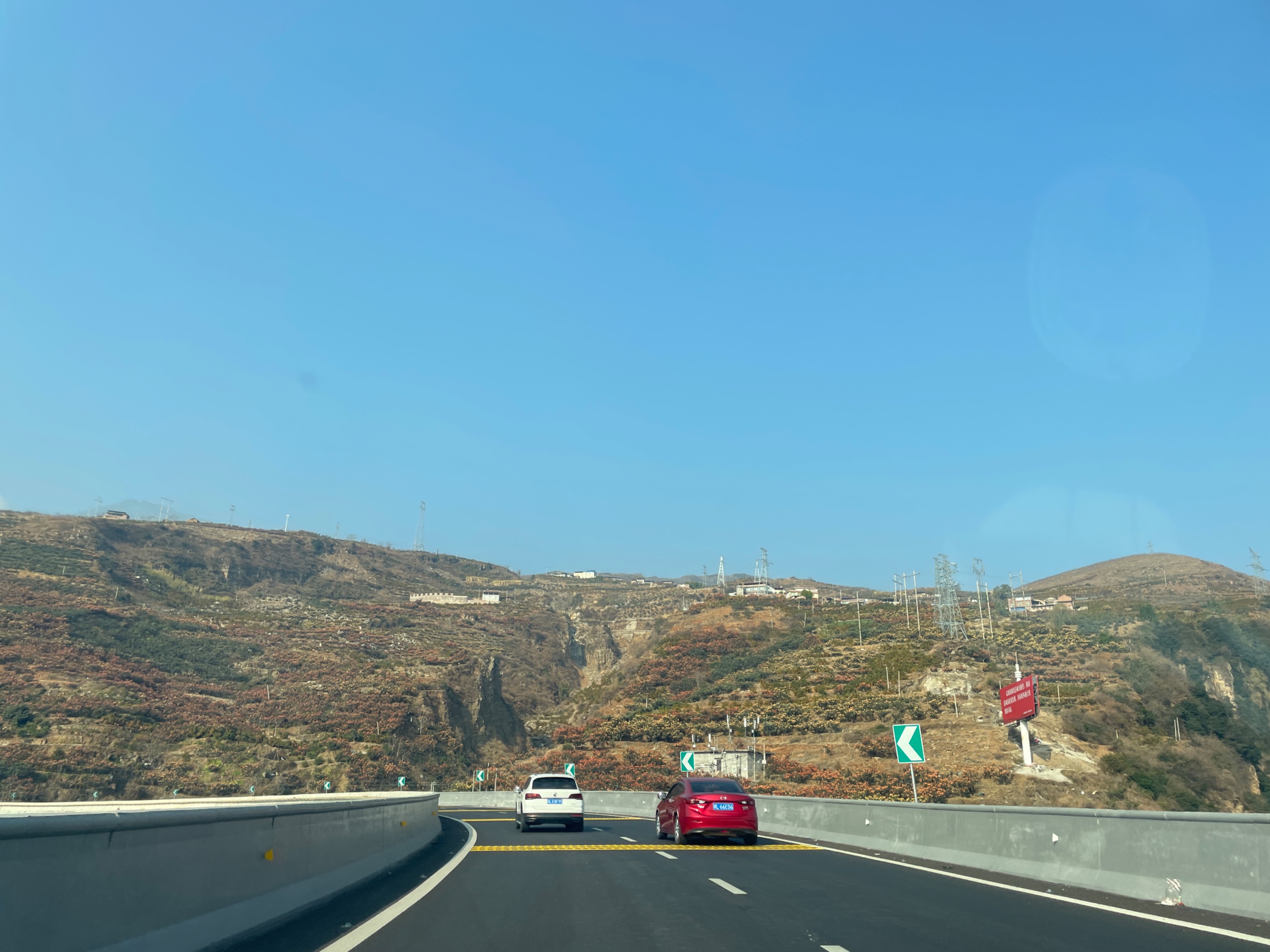 IMG_6701.jpeg
