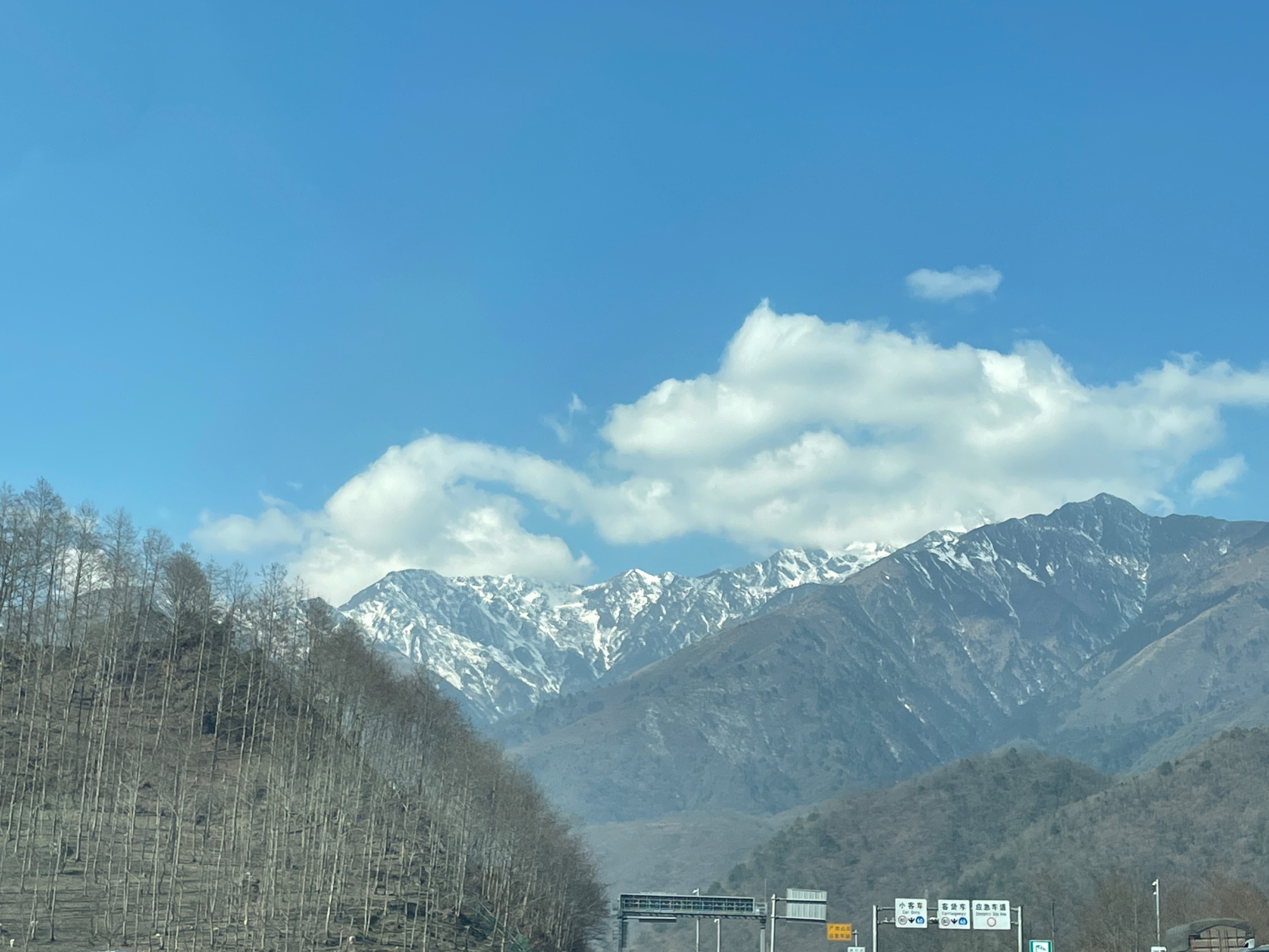 IMG_6730.jpeg