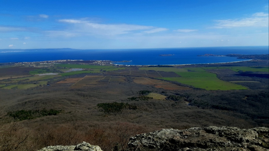 20210307_121717.jpg