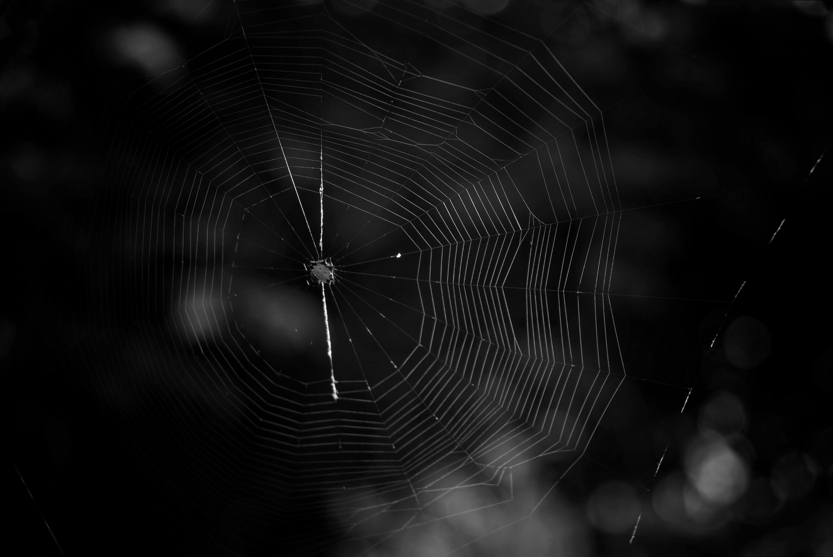 _DSC7793-NEF_DxO_PRIME (1).jpg