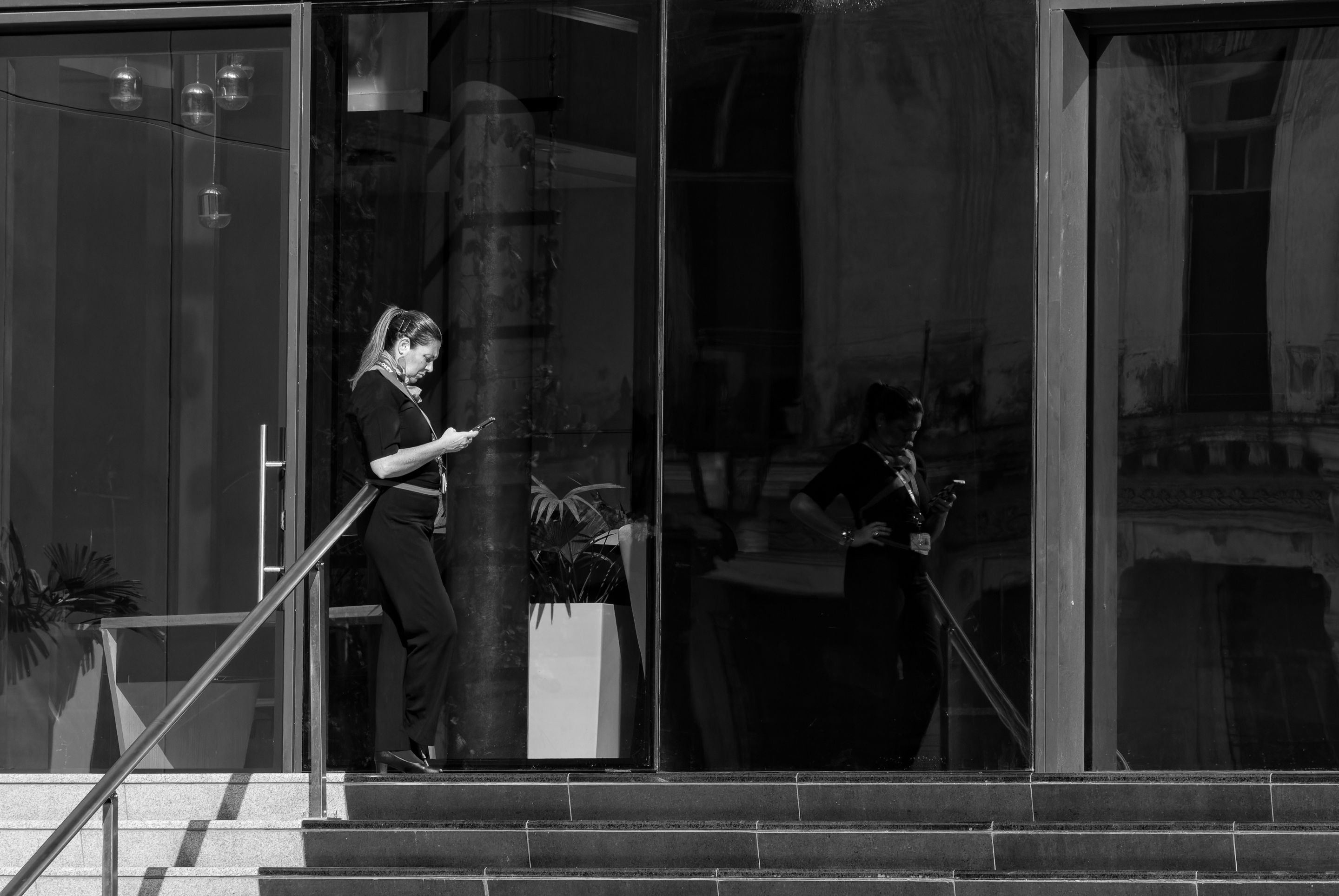 _DSC7997-NEF_DxO_DeepPRIMEXD.jpg