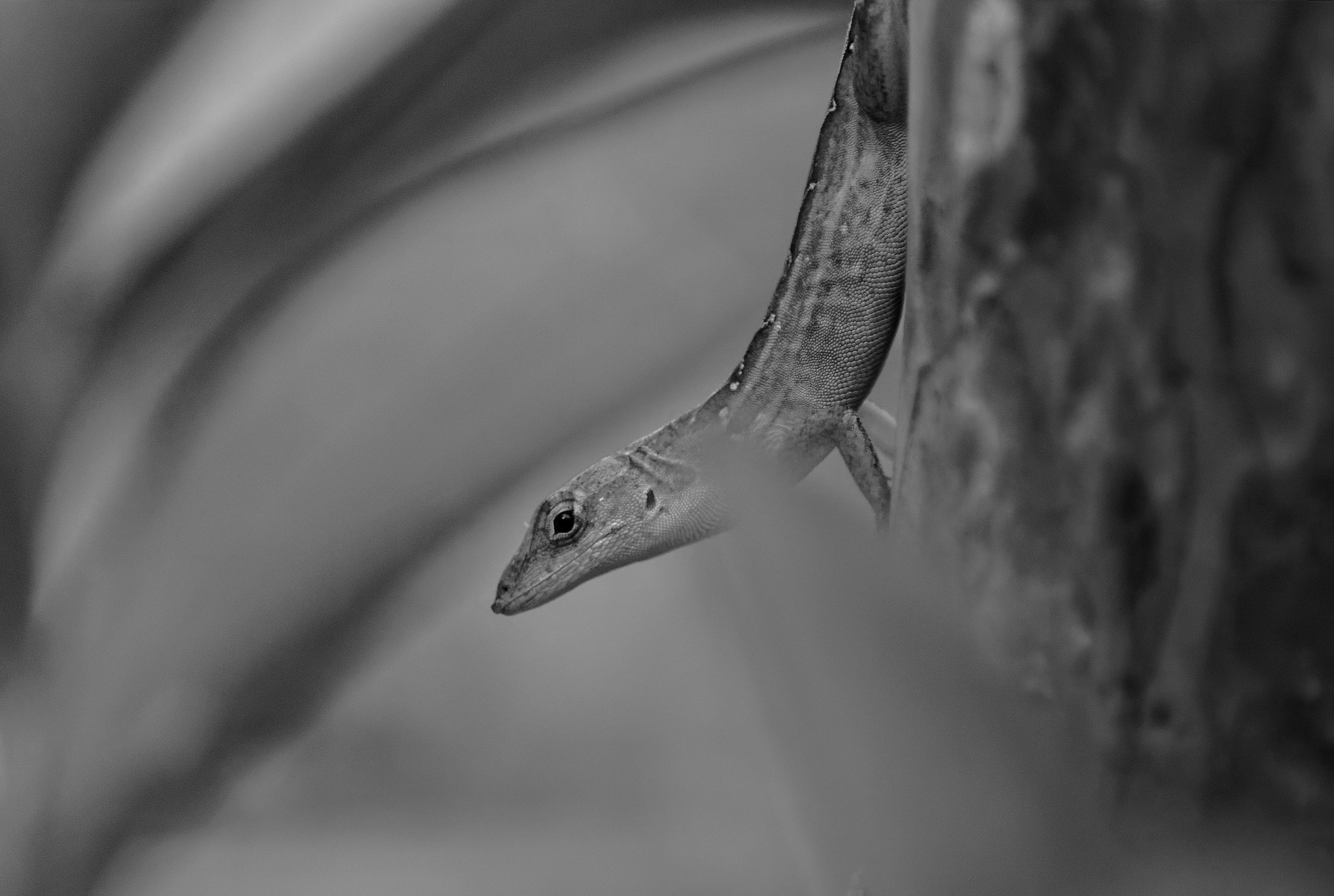 _DSC9523-NEF_DxO_PRIME.jpg