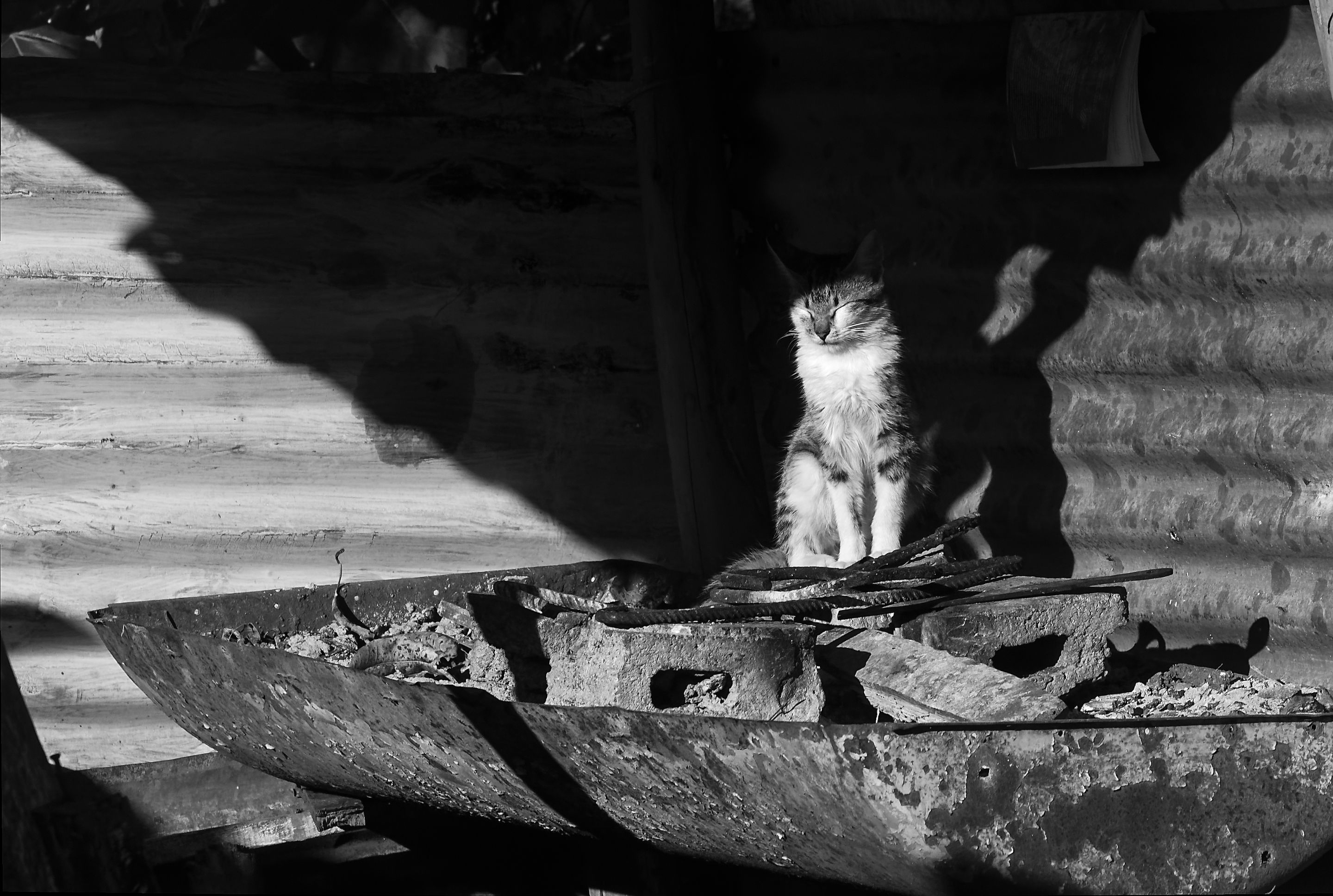 _DSC1923-NEF_DxO_PRIME copia.jpg