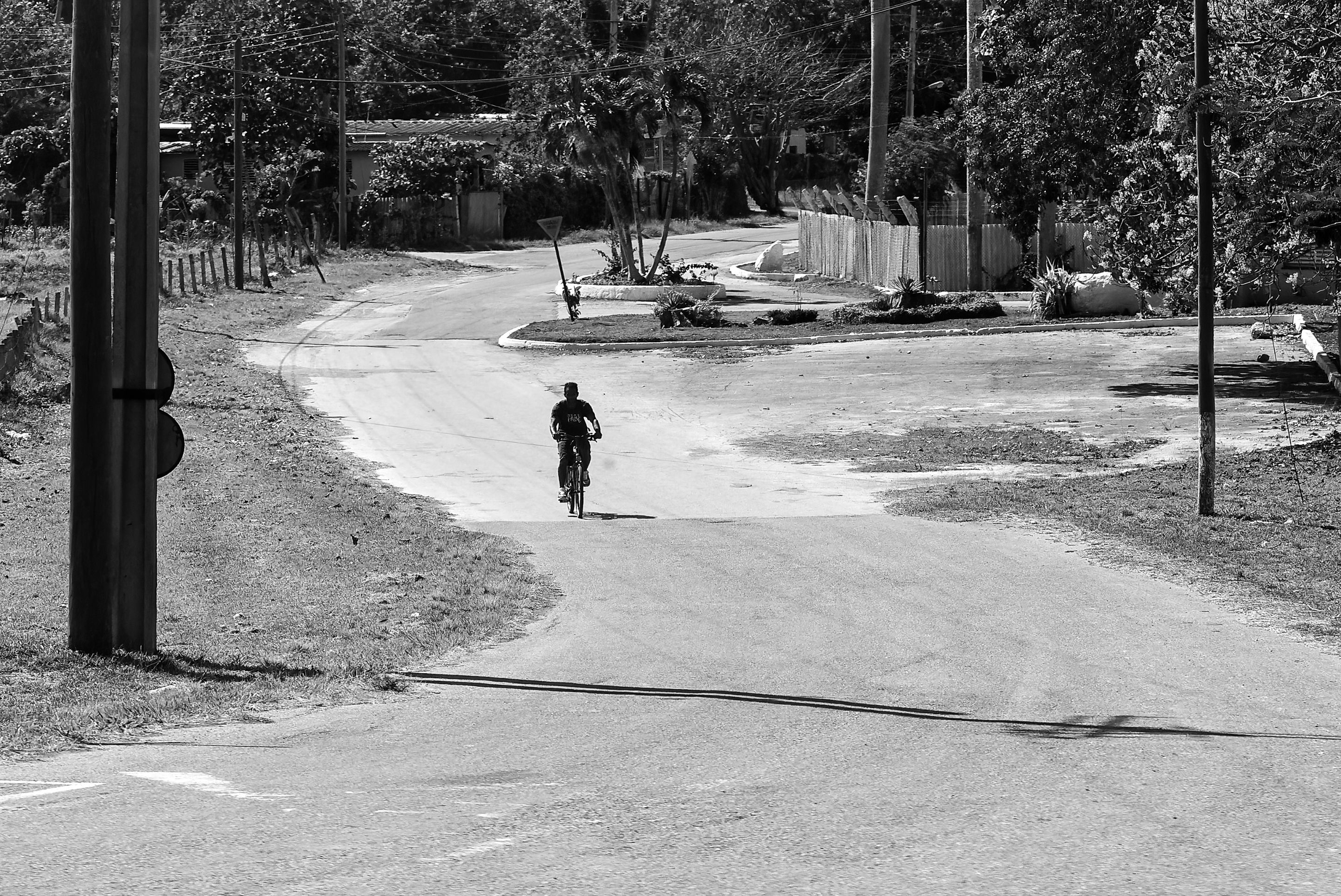 _DSC9482-NEF_DxO_DeepPRIMEXD copia.jpg