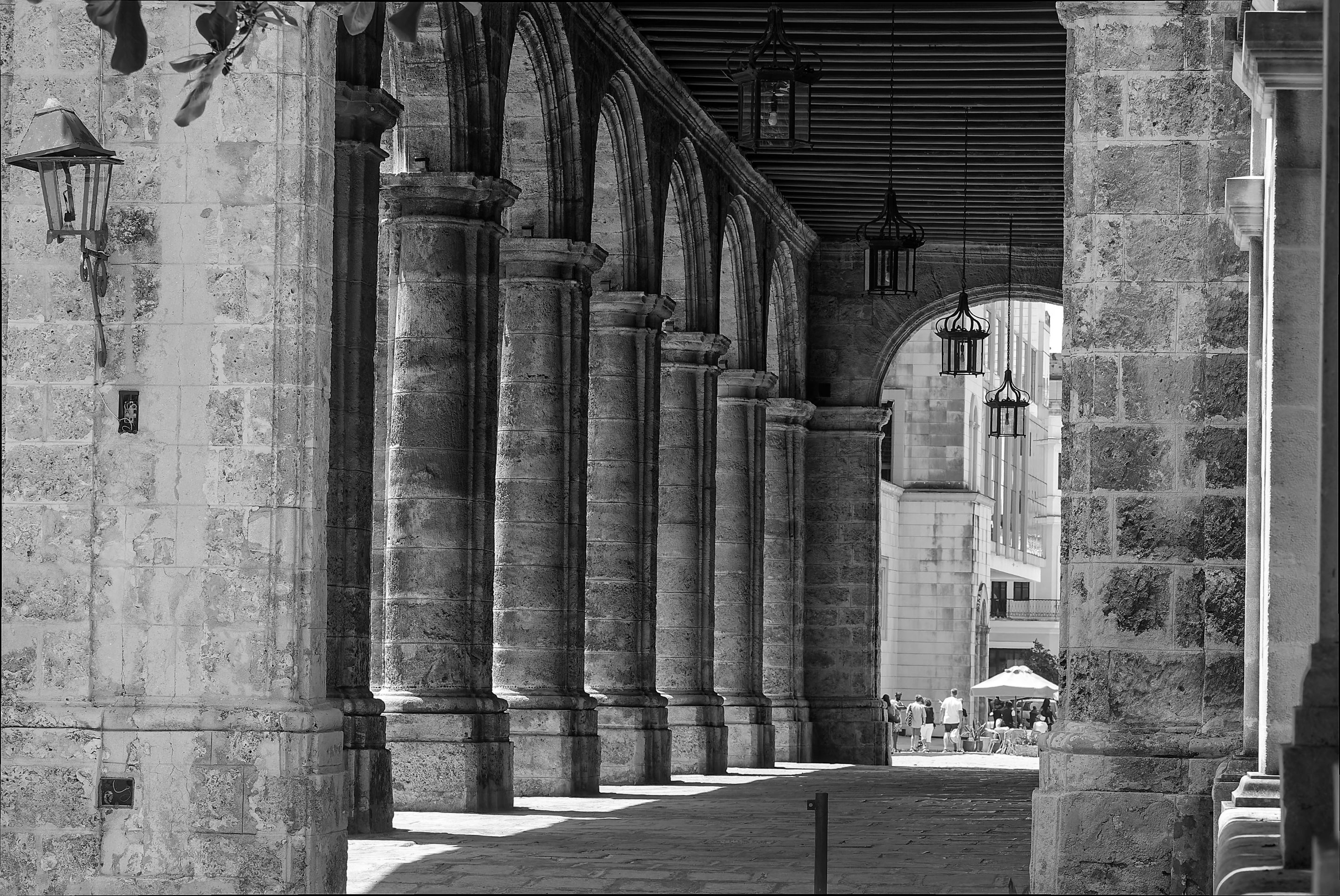 _DSC8824-NEF_DxO_DeepPRIMEXD como objeto inteligente-1 copia.jpg