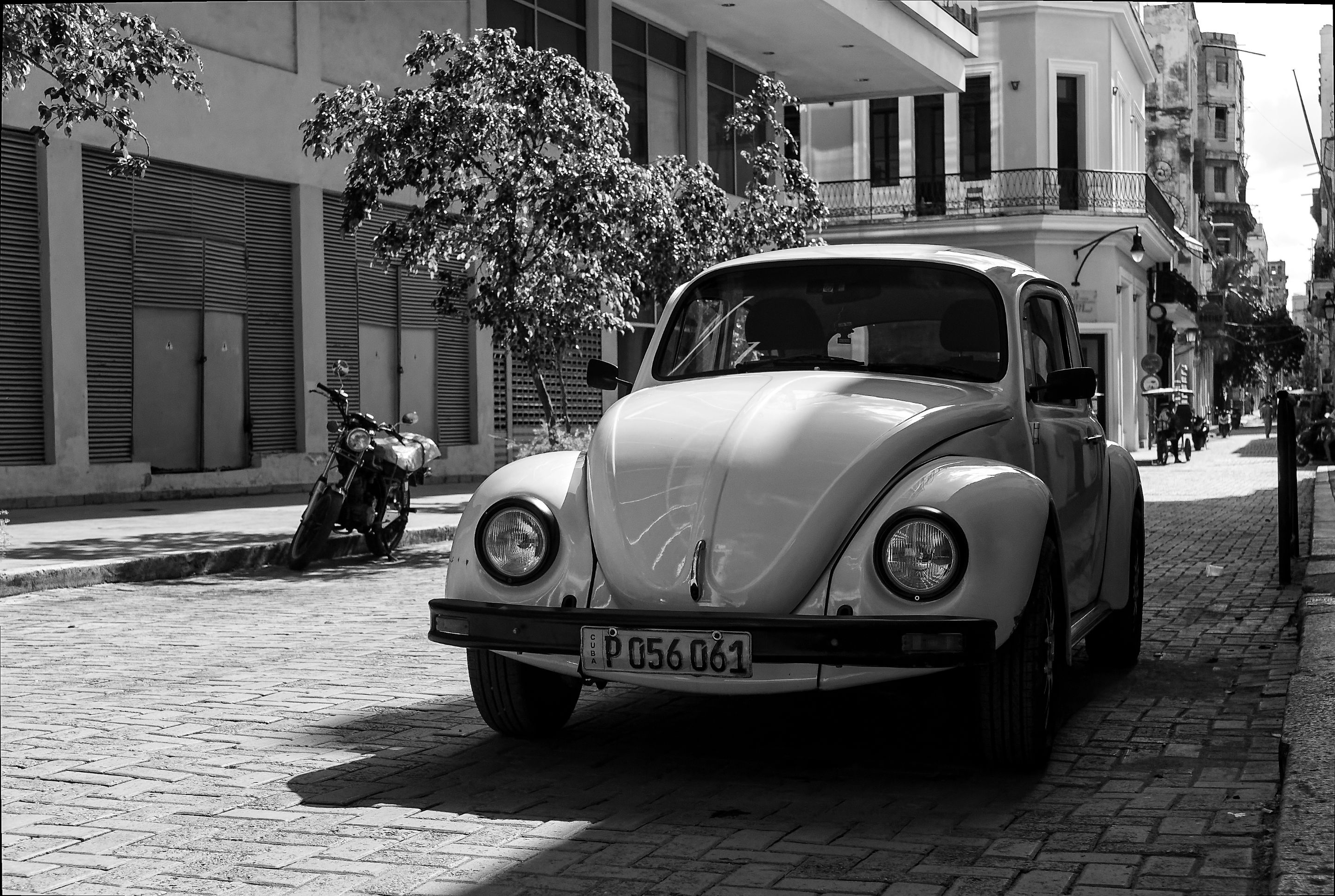 _DSC0053-NEF_DxO_PRIME como objeto inteligente-1 copia.jpg
