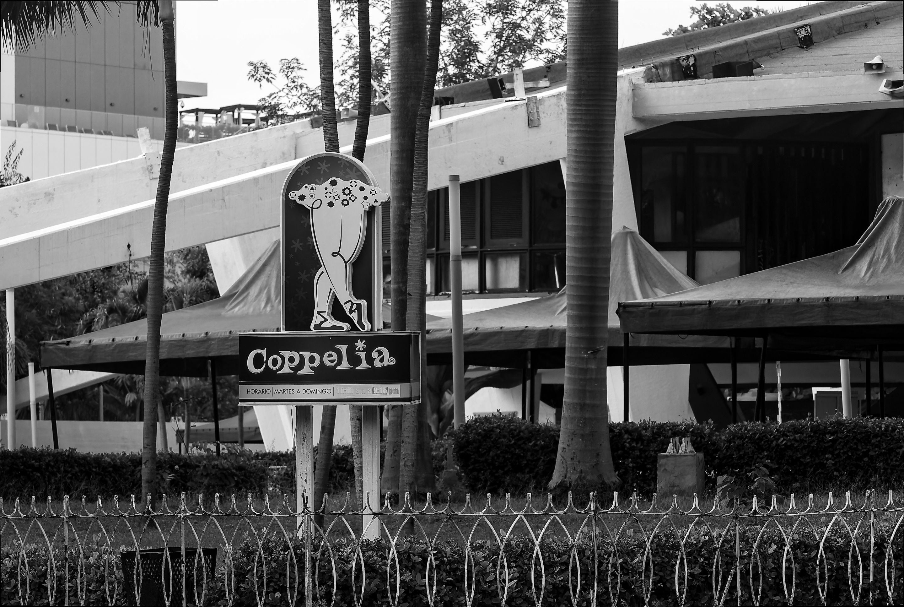 _DSC9212-NEF_DxO_DeepPRIMEXD como objeto inteligente-1 copia.jpg