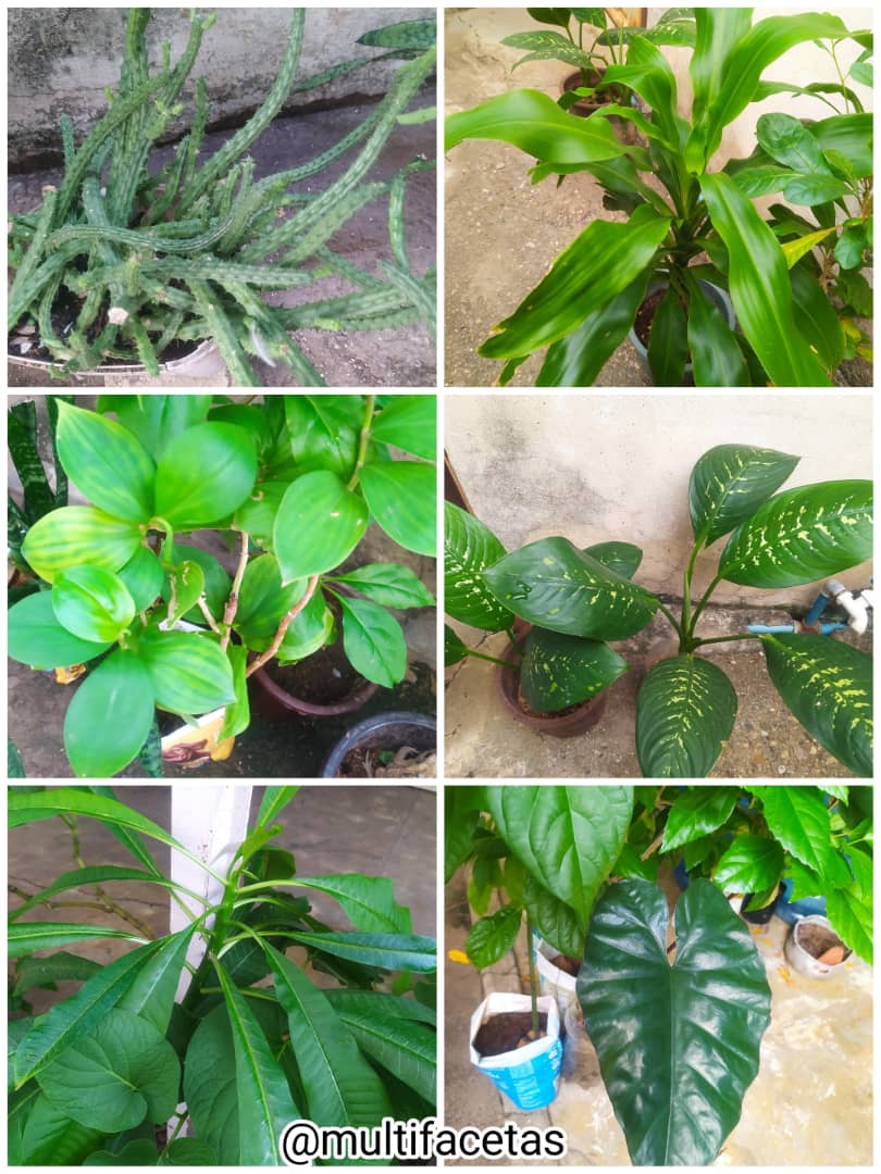 WhatsApp Image 2025-10-25 at 9.38.21 AM.jpeg