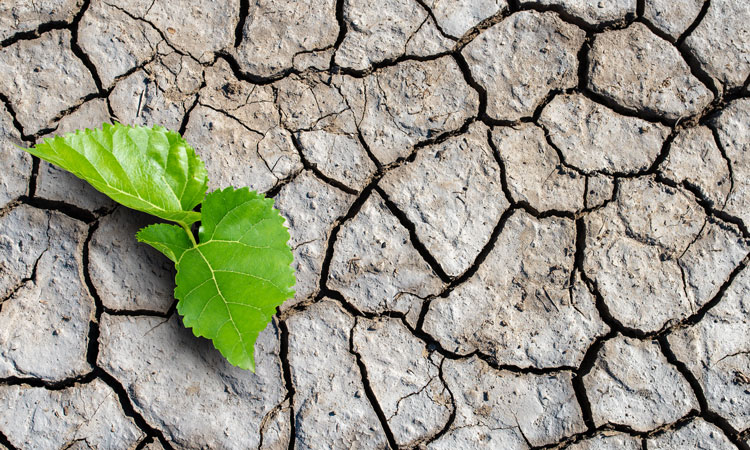 @munawar1235/climate-change-has-become-threat-to-our-planet