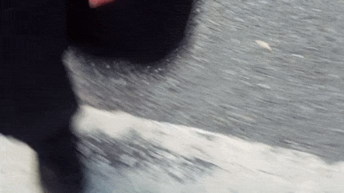 VID_20211022_173608.gif