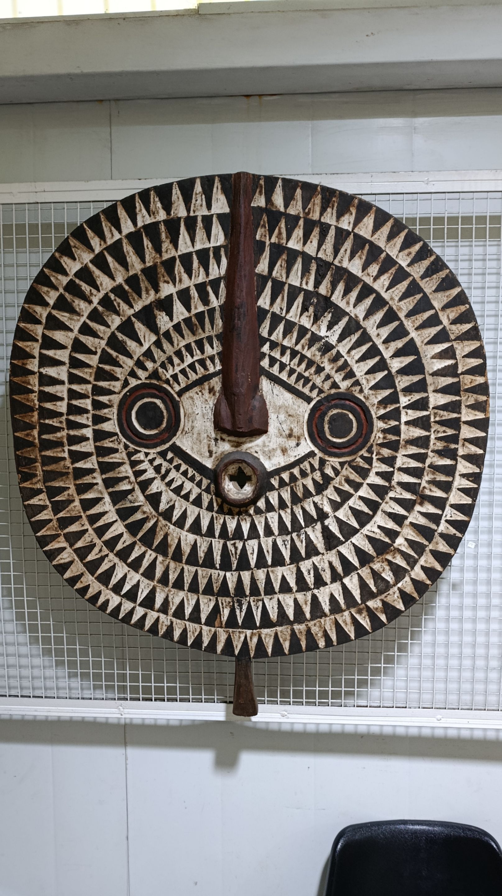 1000142212.jpg