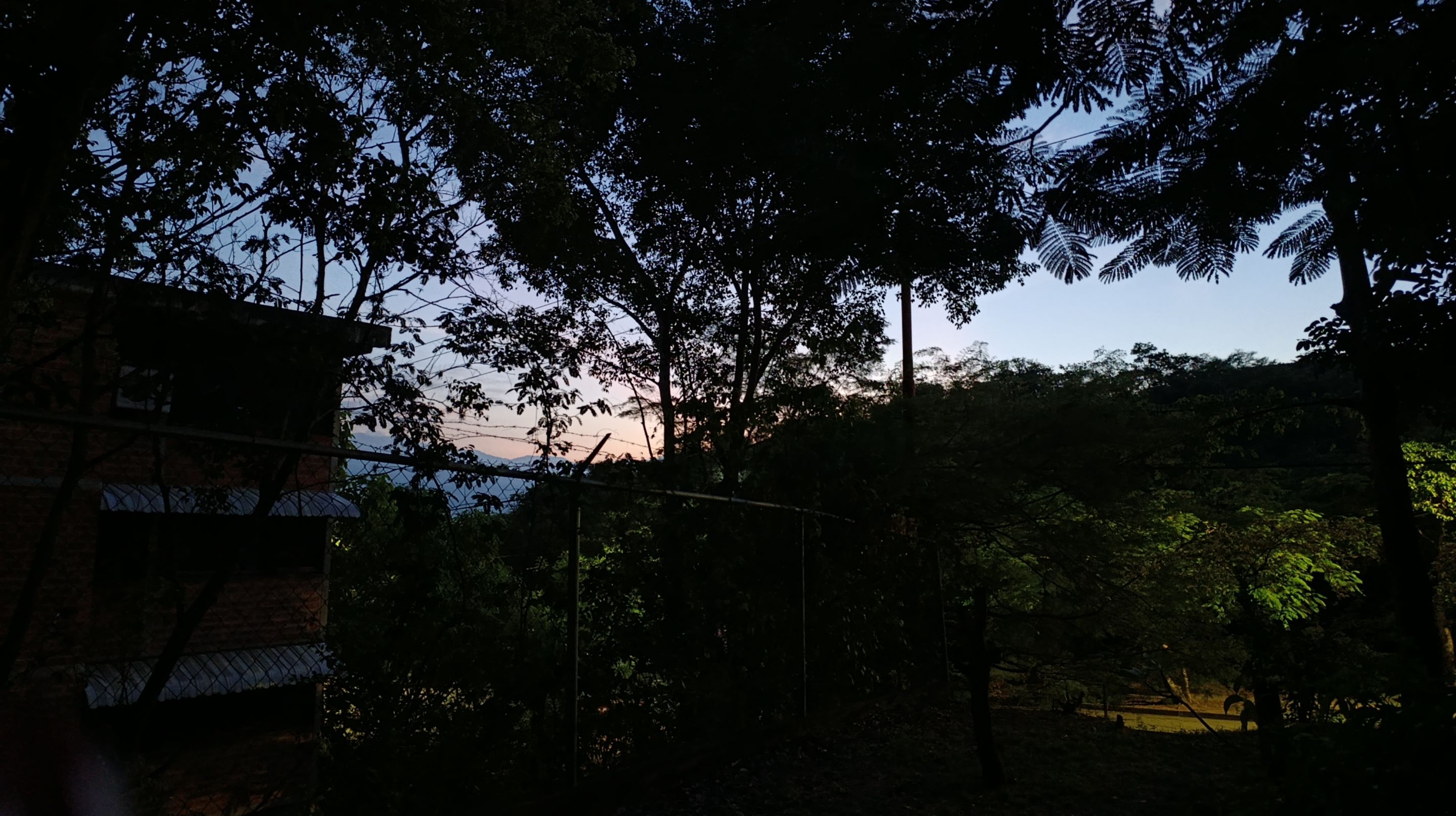 1000152275.jpg